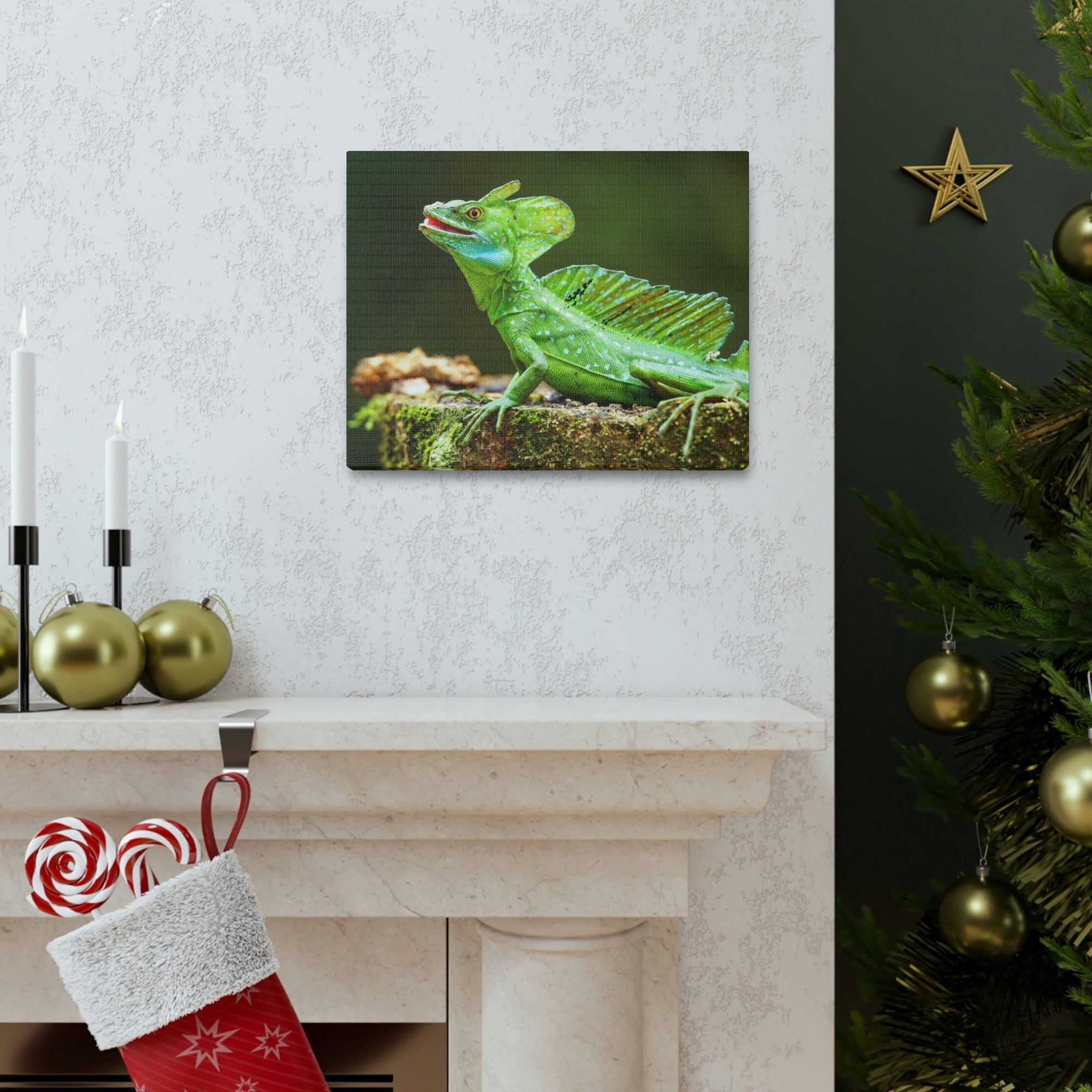 Funny Smiling Basilisk Outside Wall Art Ready to Hang Unframed-Express Your Love Gifts