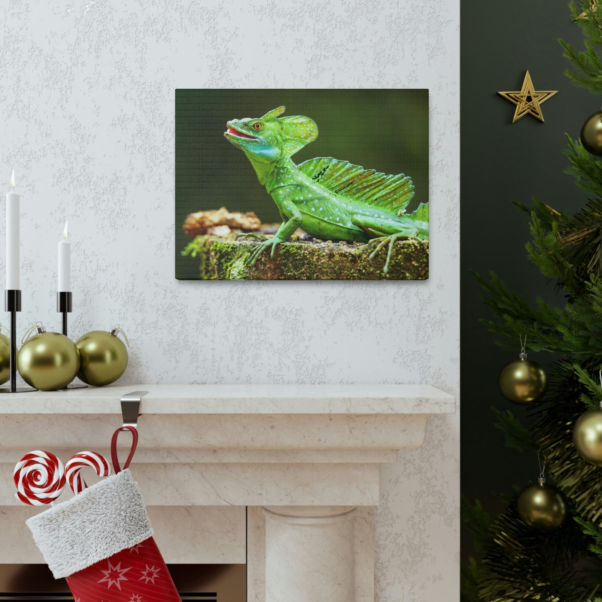 Funny Smiling Basilisk Outside Wall Art Ready to Hang Unframed-Express Your Love Gifts