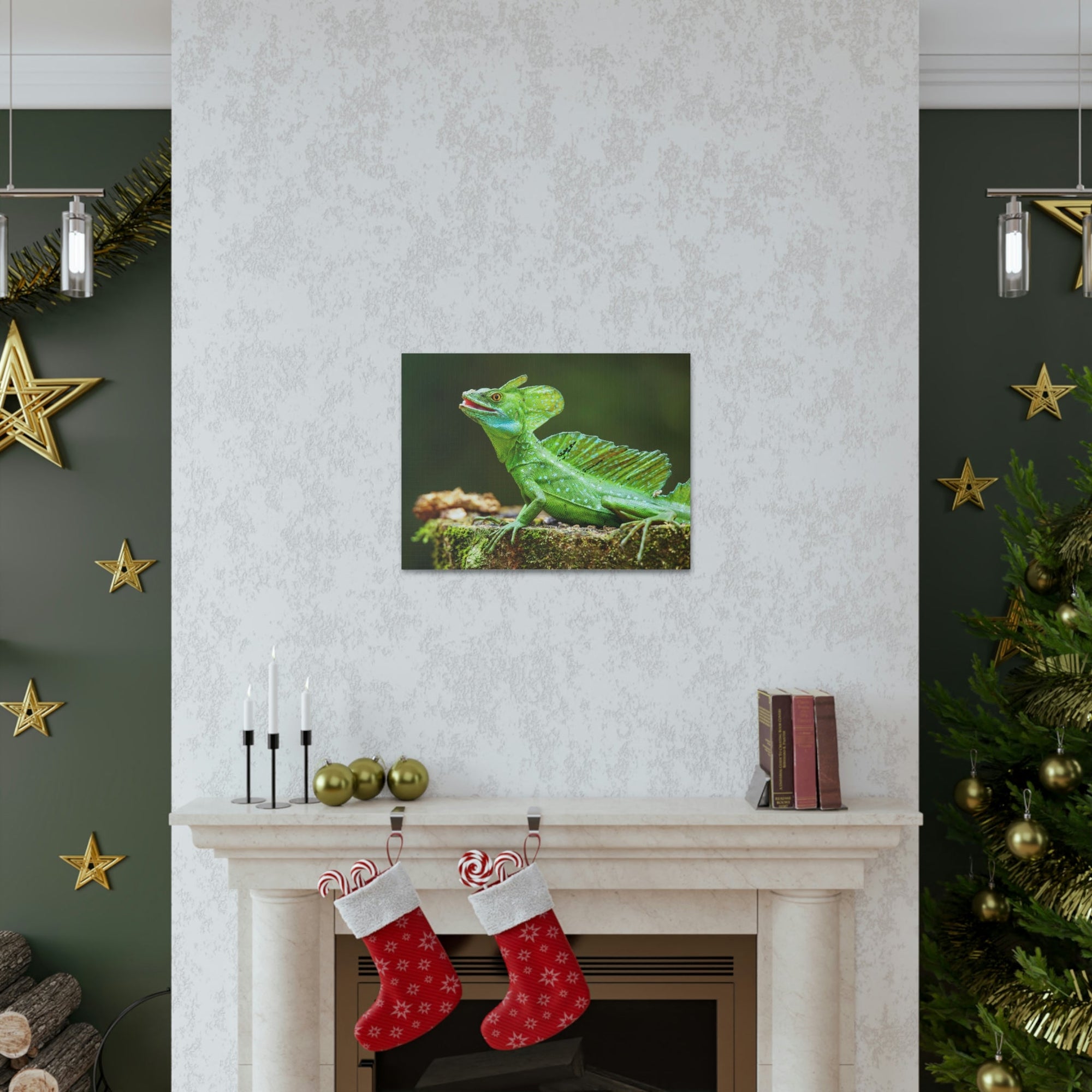 Funny Smiling Basilisk Outside Wall Art Ready to Hang Unframed-Express Your Love Gifts