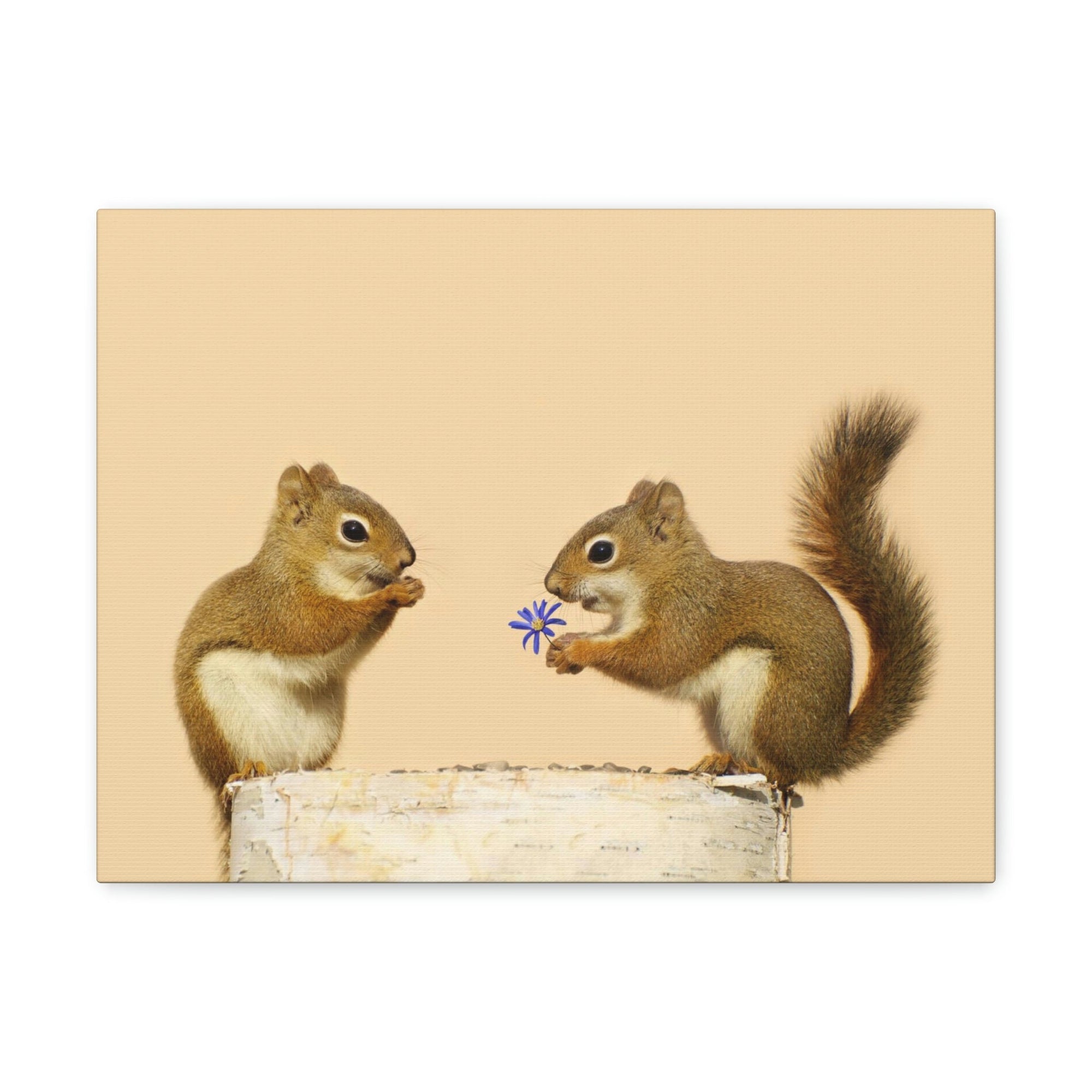 Funny Squirrel Silly Squirrel Couple Wall Art Ready To Hang Unframed-Express Your Love Gifts