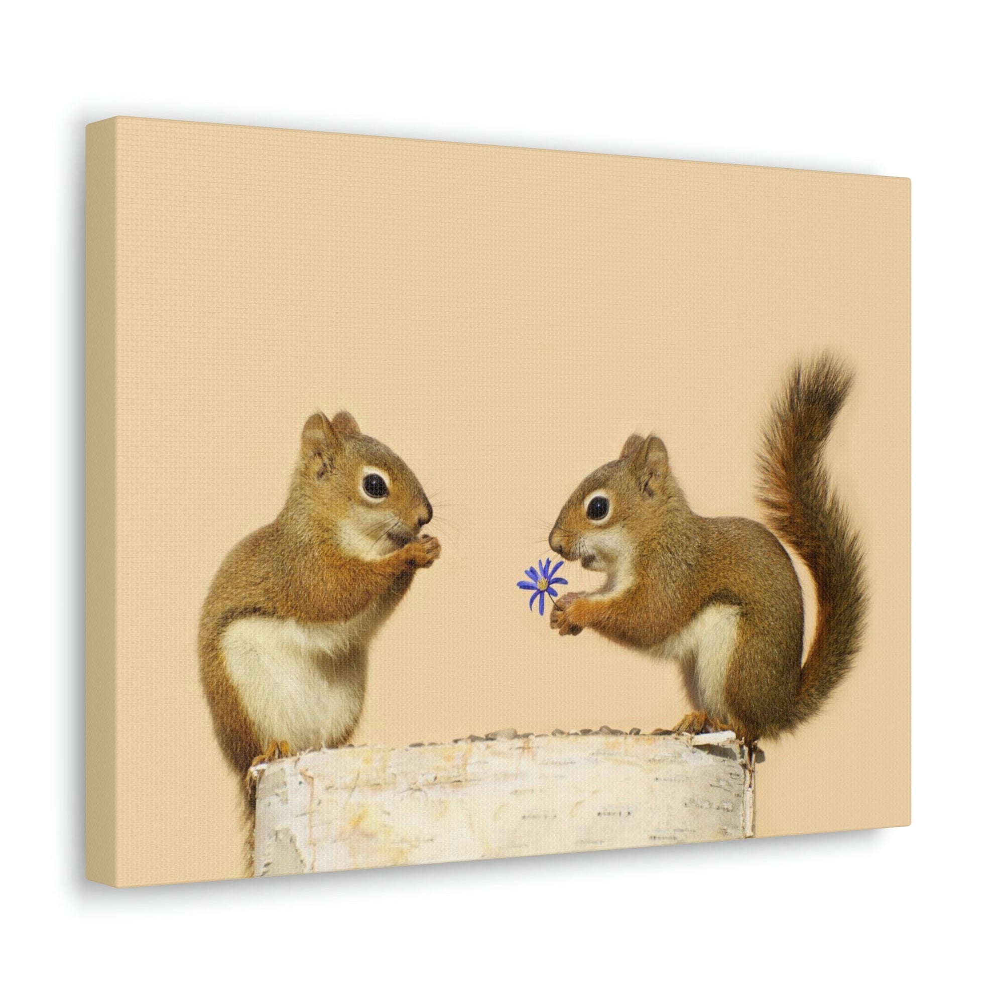 Funny Squirrel Silly Squirrel Couple Wall Art Ready To Hang Unframed-Express Your Love Gifts