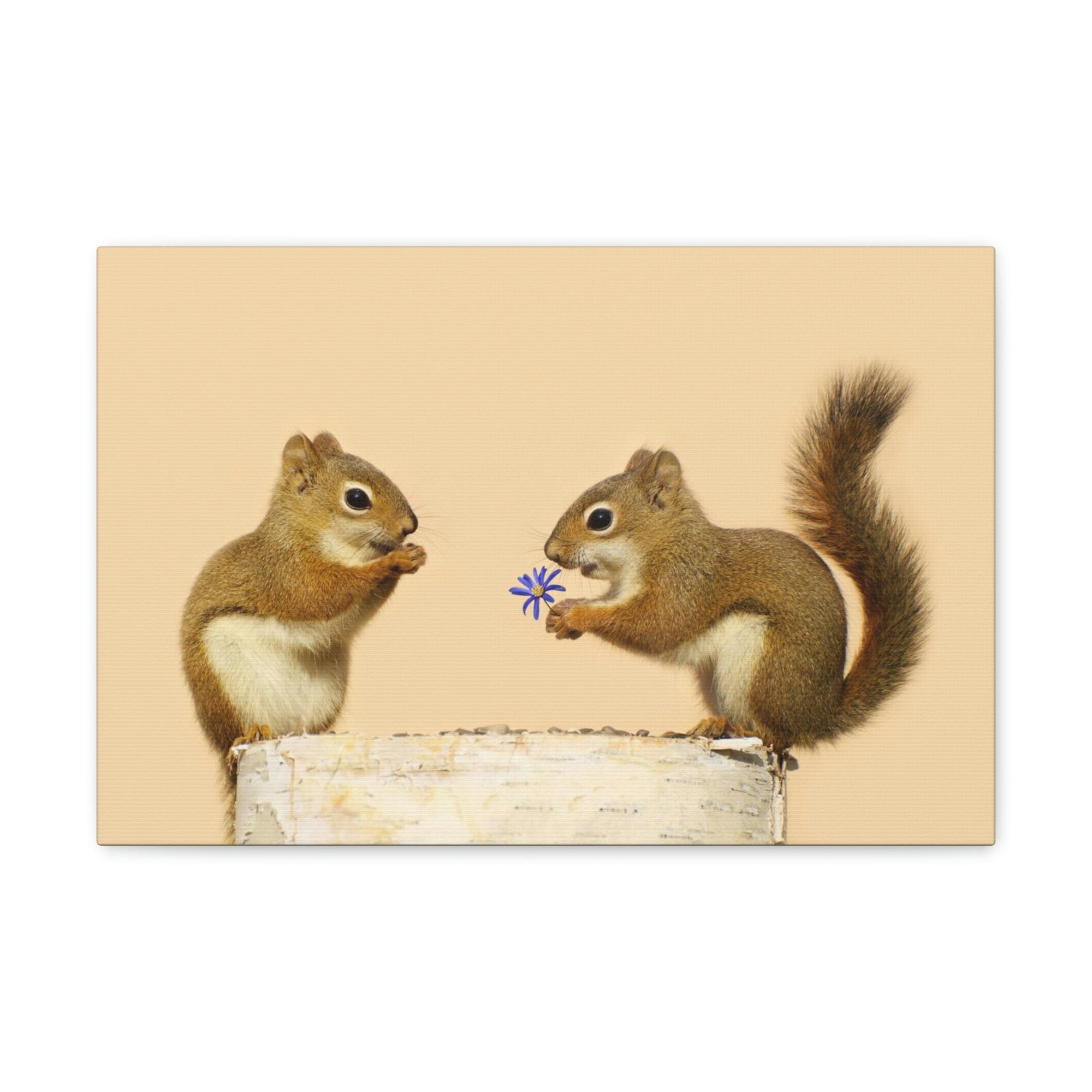 Funny Squirrel Silly Squirrel Couple Wall Art Ready To Hang Unframed-Express Your Love Gifts