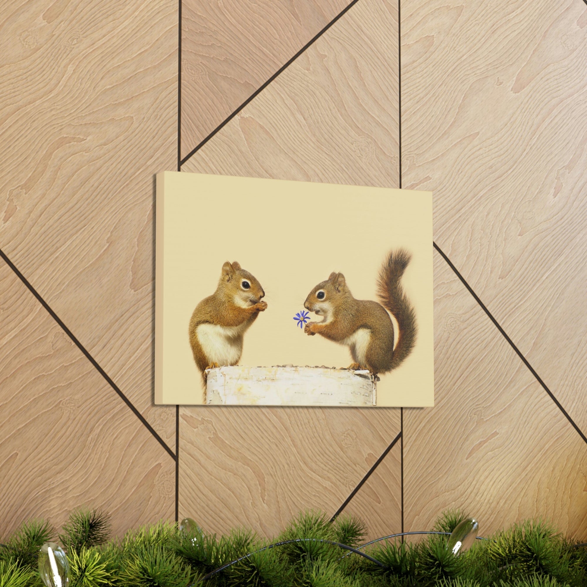 Funny Squirrel Silly Squirrel Couple Wall Art Ready To Hang Unframed-Express Your Love Gifts