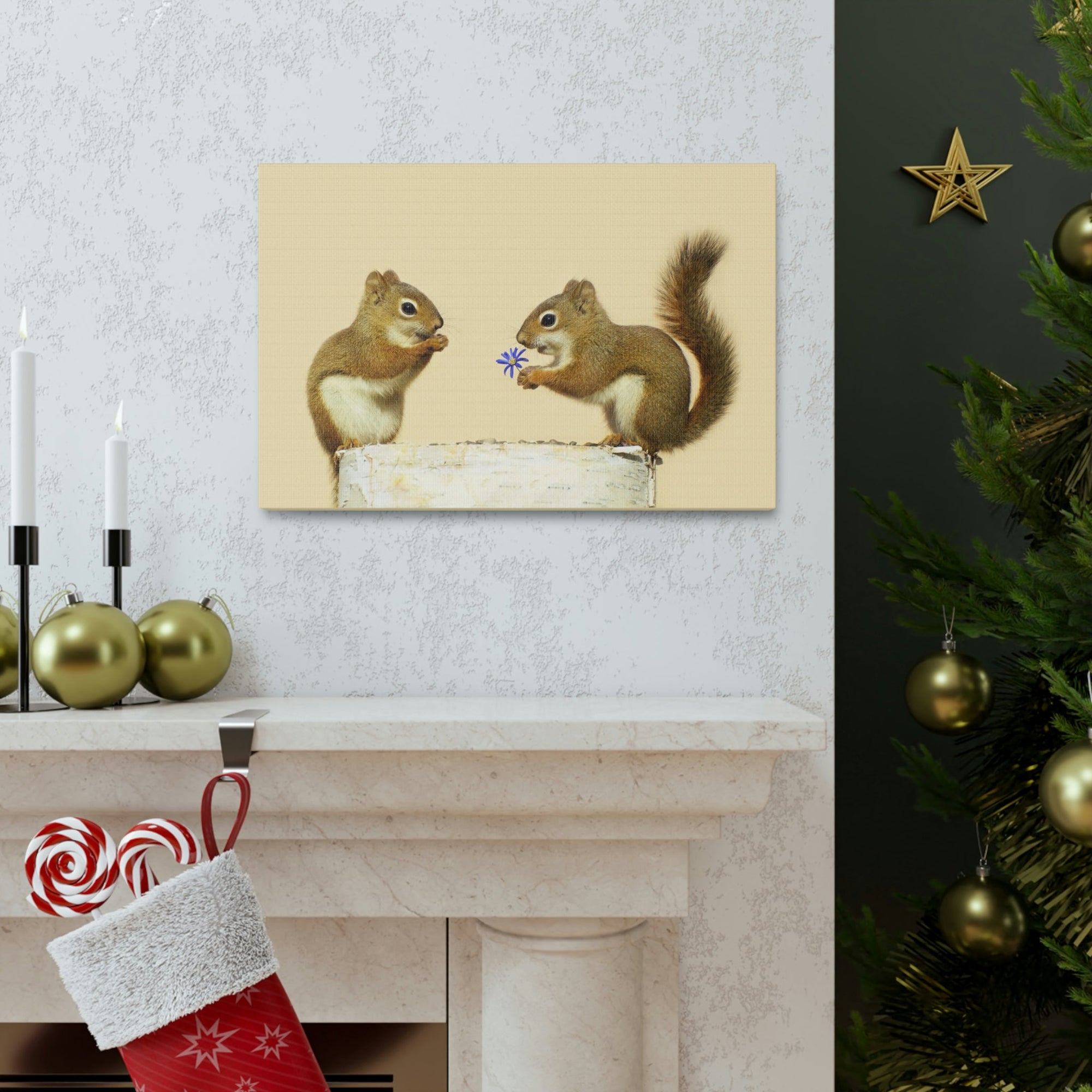 Funny Squirrel Silly Squirrel Couple Wall Art Ready To Hang Unframed-Express Your Love Gifts