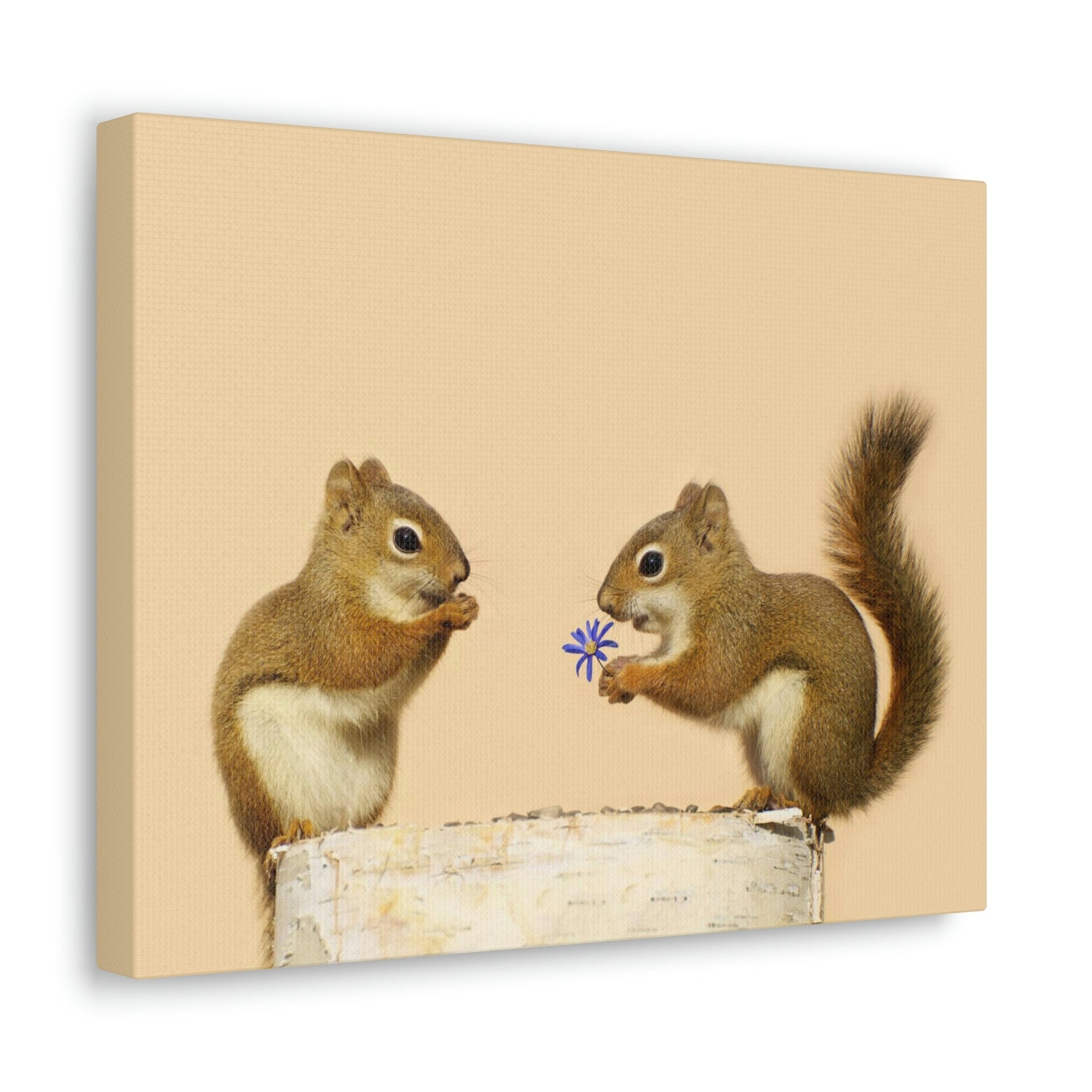 Funny Squirrel Silly Squirrel Couple Wall Art Ready To Hang Unframed-Express Your Love Gifts