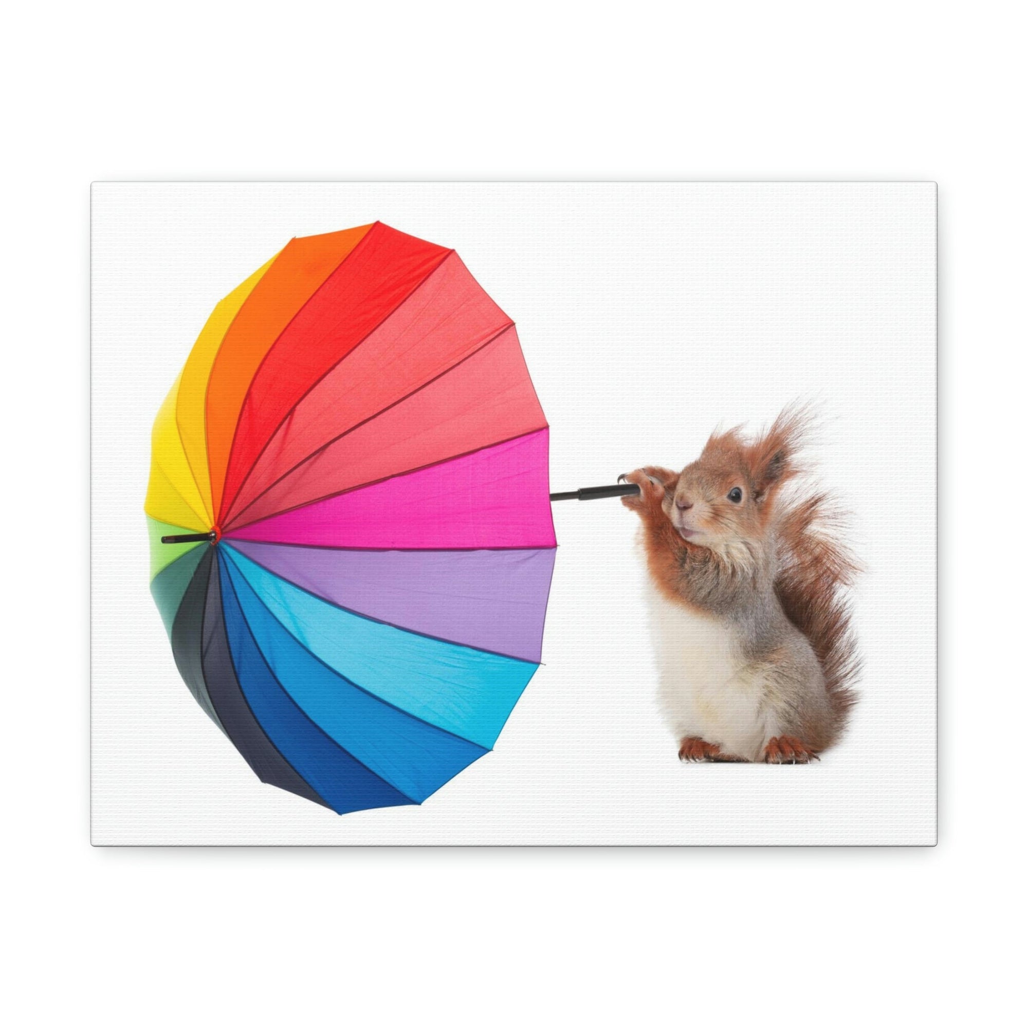 Funny Squirrel Silly Squirrel Indoor Wall Art Ready To Hang Unframed-Express Your Love Gifts