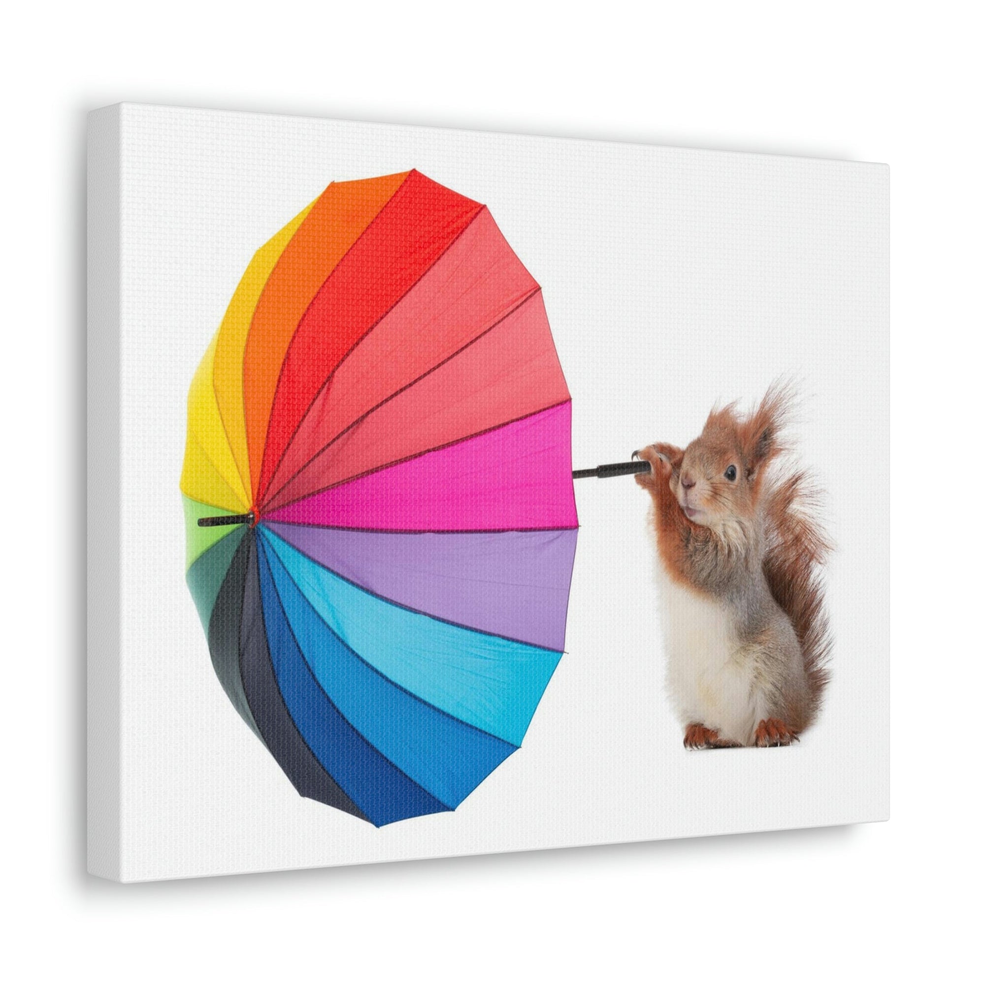 Funny Squirrel Silly Squirrel Indoor Wall Art Ready To Hang Unframed-Express Your Love Gifts