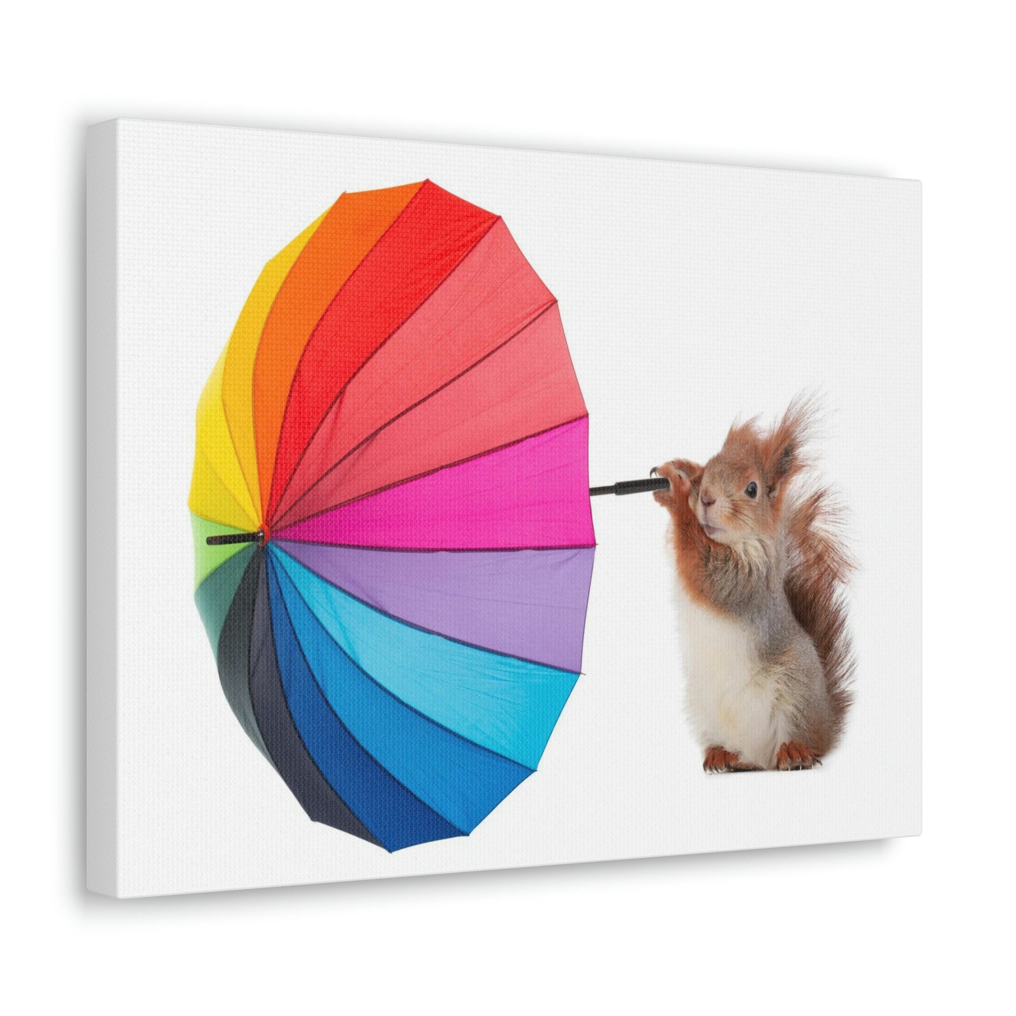 Funny Squirrel Silly Squirrel Indoor Wall Art Ready To Hang Unframed-Express Your Love Gifts