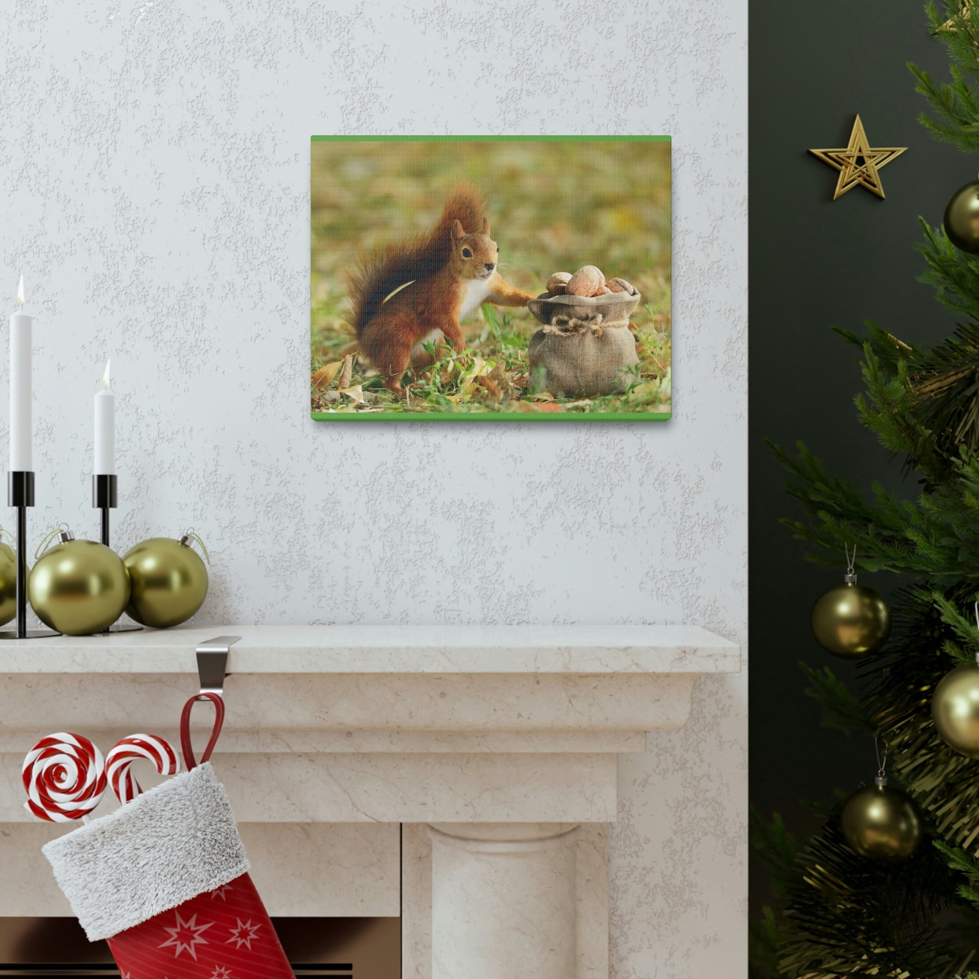 Funny Squirrel Silly Squirrel Outside Wall Art Ready to Hang Unframed-Express Your Love Gifts