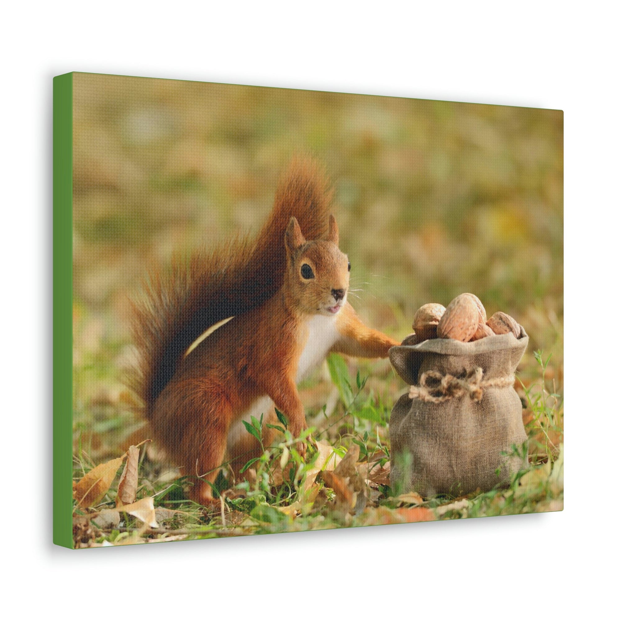 Funny Squirrel Silly Squirrel Outside Wall Art Ready to Hang Unframed-Express Your Love Gifts