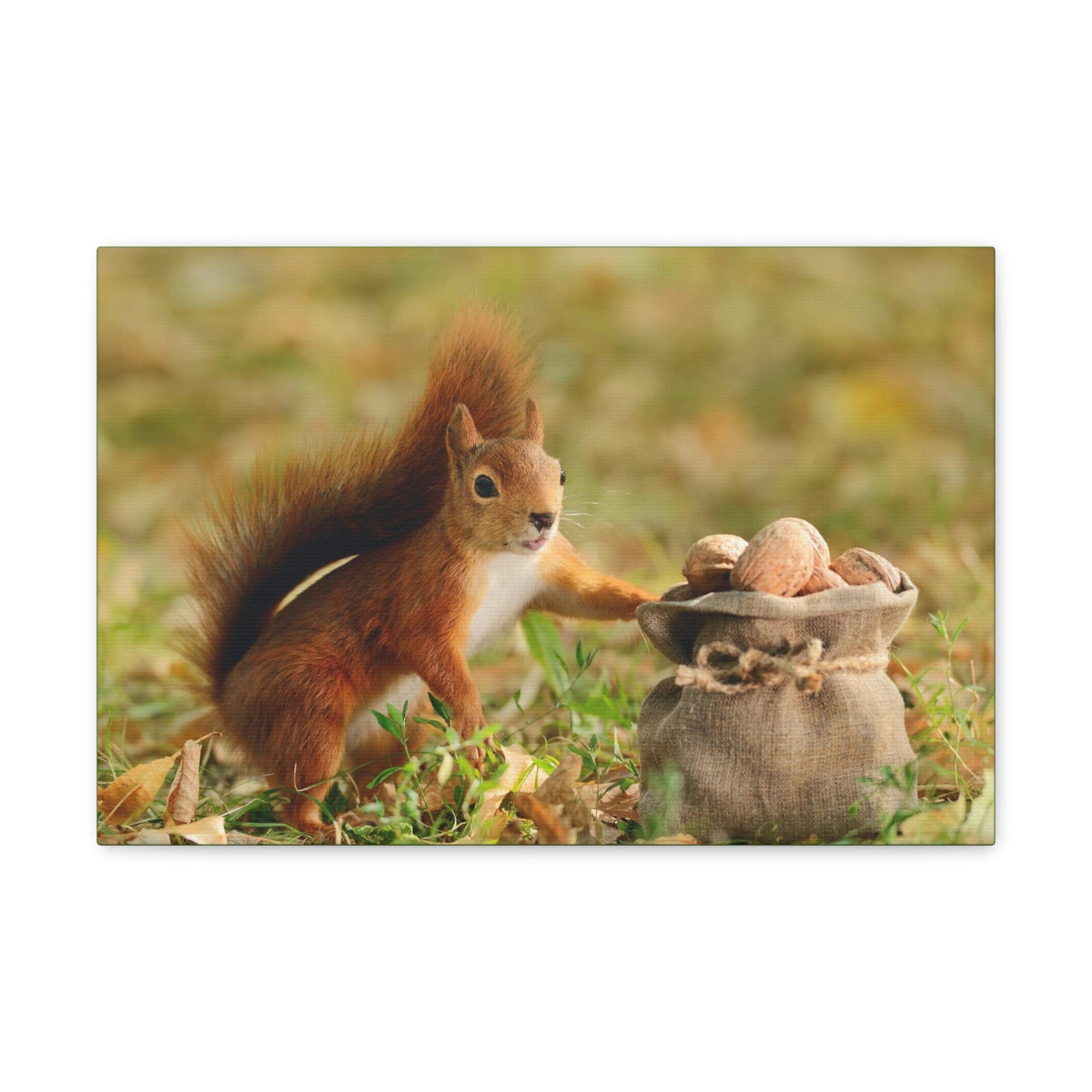 Funny Squirrel Silly Squirrel Outside Wall Art Ready to Hang Unframed-Express Your Love Gifts