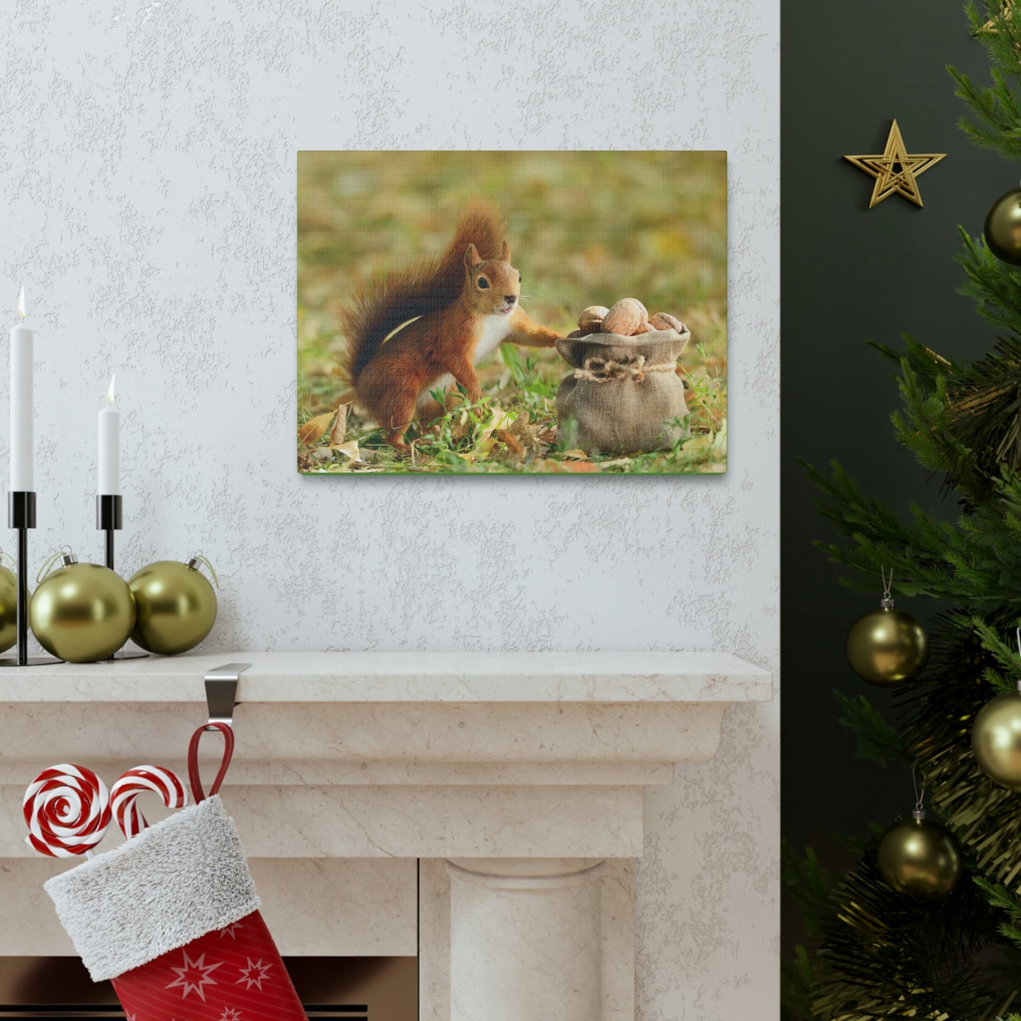 Funny Squirrel Silly Squirrel Outside Wall Art Ready to Hang Unframed-Express Your Love Gifts