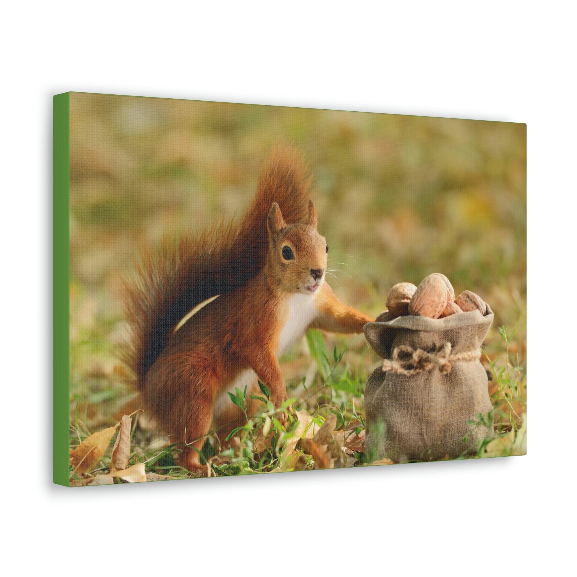 Funny Squirrel Silly Squirrel Outside Wall Art Ready to Hang Unframed-Express Your Love Gifts