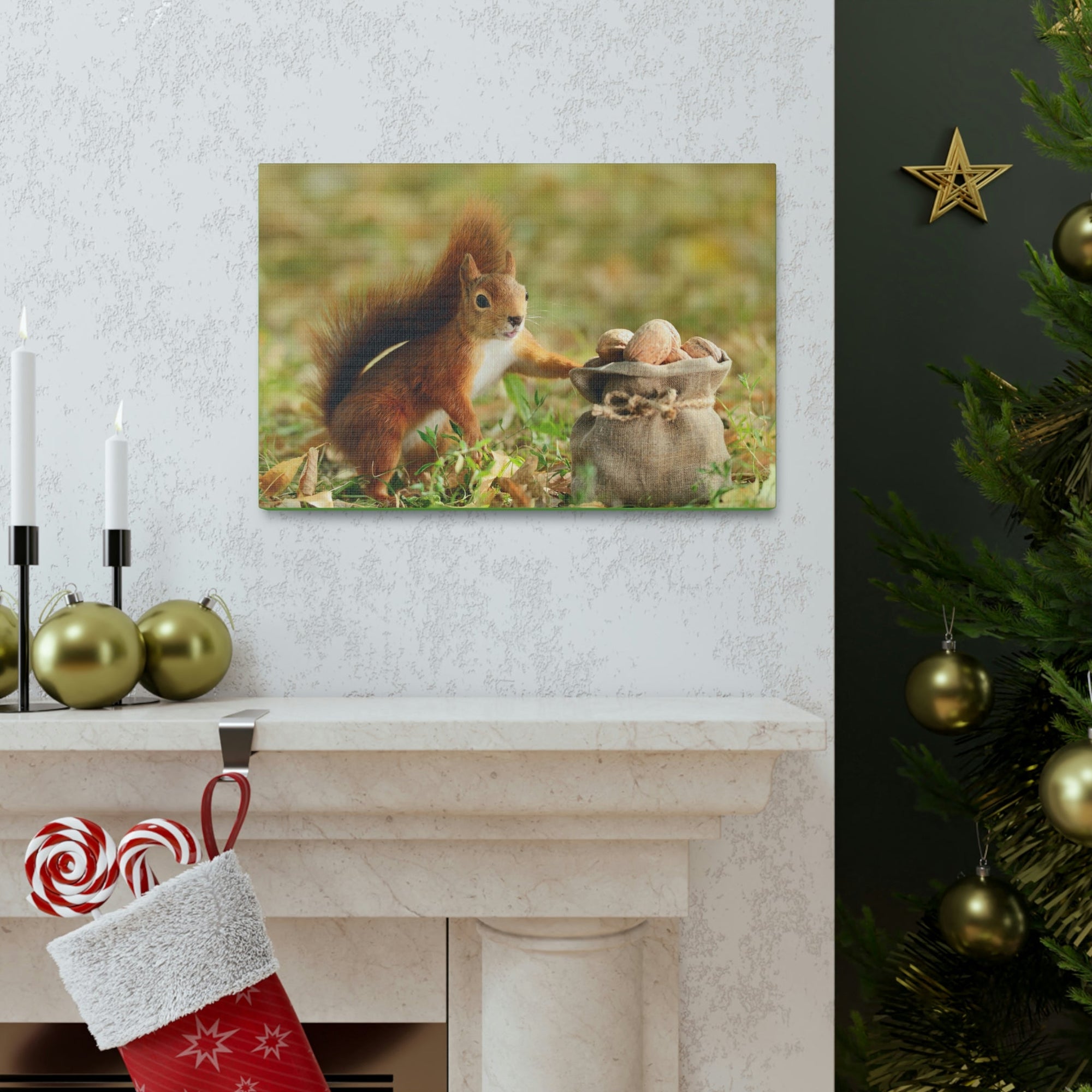 Funny Squirrel Silly Squirrel Outside Wall Art Ready to Hang Unframed-Express Your Love Gifts