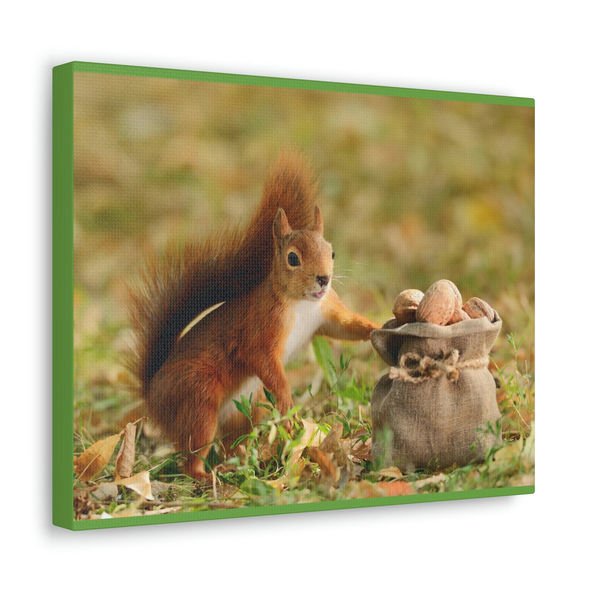 Funny Squirrel Silly Squirrel Outside Wall Art Ready to Hang Unframed-Express Your Love Gifts