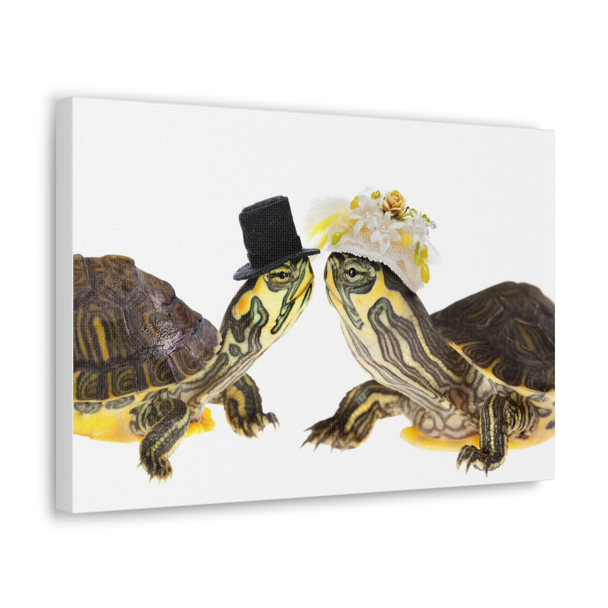 Funny Tortoise Silly Tortoise Couples Wall Art Ready to Hang Unframed-Express Your Love Gifts