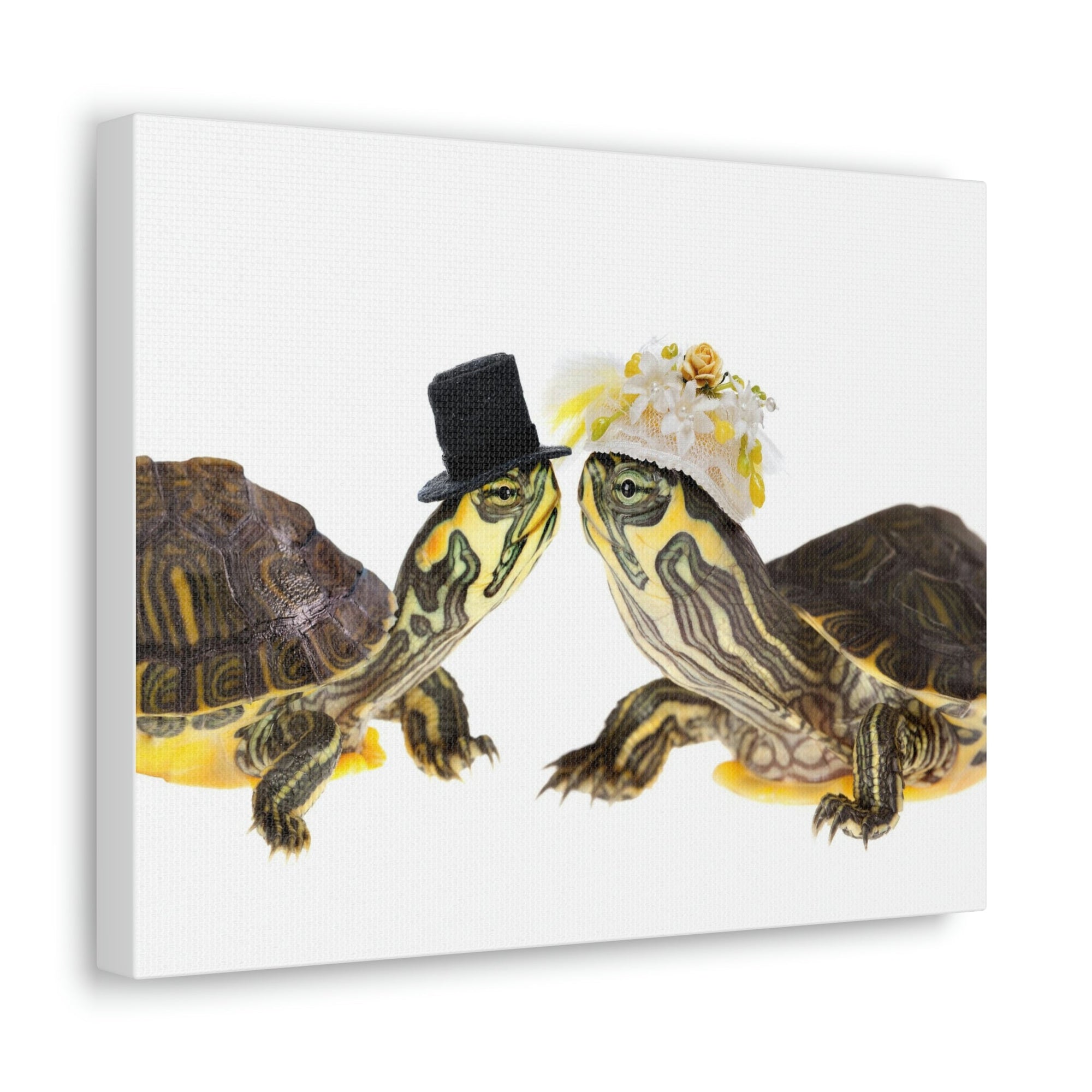 Funny Tortoise Silly Tortoise Couples Wall Art Ready to Hang Unframed-Express Your Love Gifts