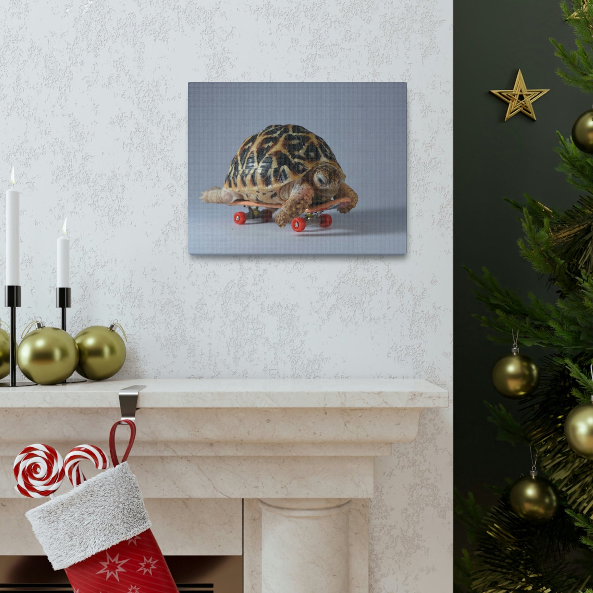 Funny Tortoise Silly Tortoise Inside Wall Art Ready to Hang Unframed-Express Your Love Gifts