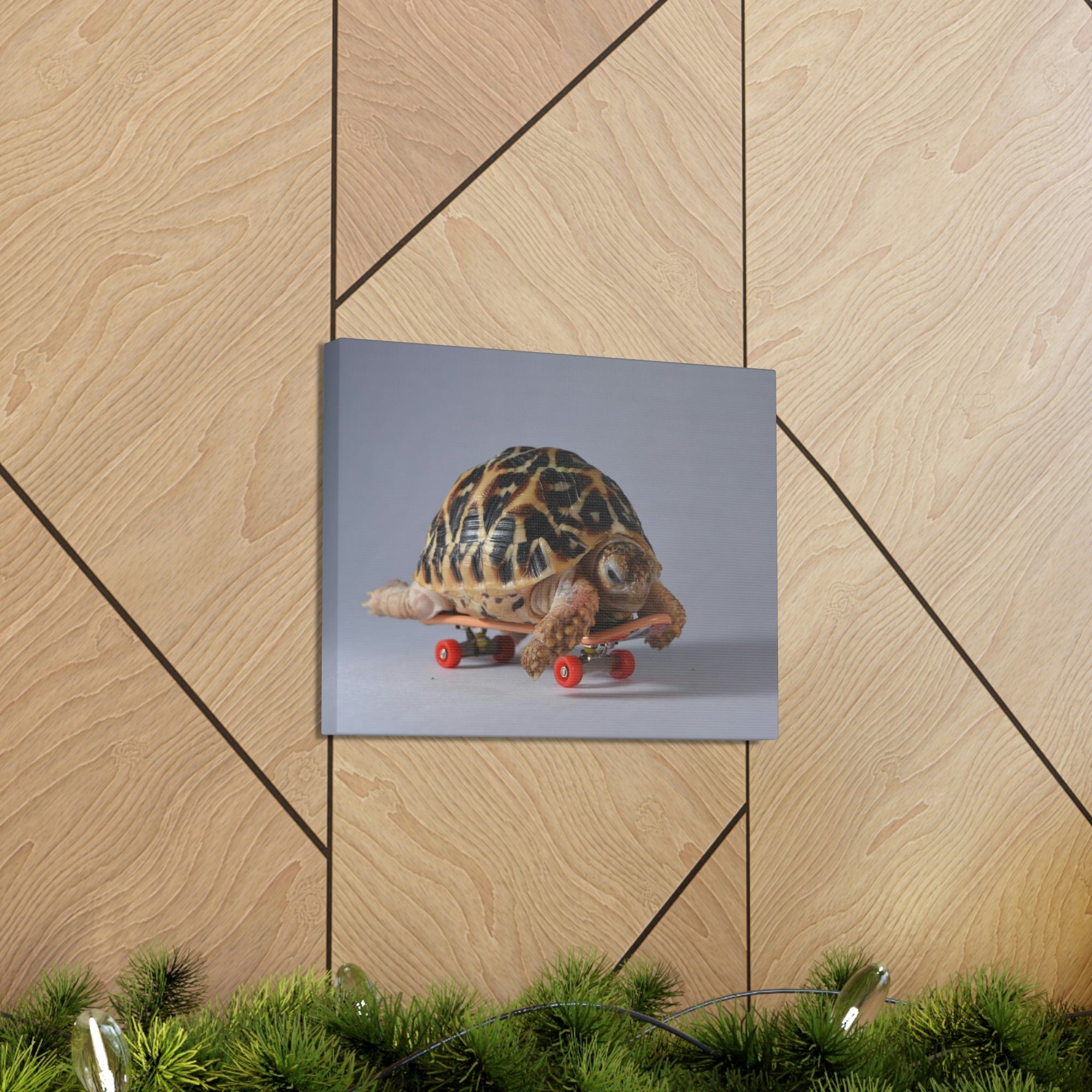 Funny Tortoise Silly Tortoise Inside Wall Art Ready to Hang Unframed-Express Your Love Gifts