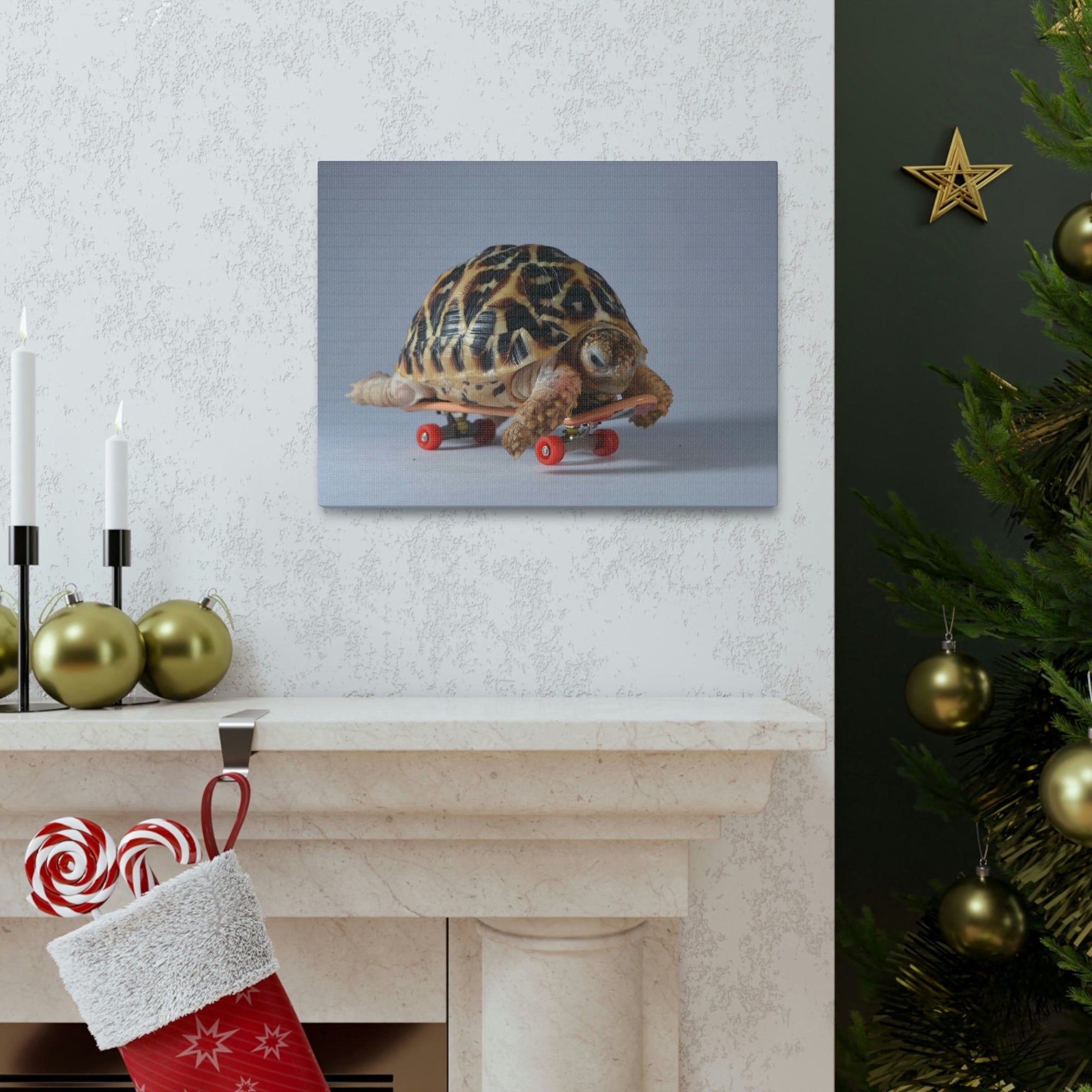 Funny Tortoise Silly Tortoise Inside Wall Art Ready to Hang Unframed-Express Your Love Gifts