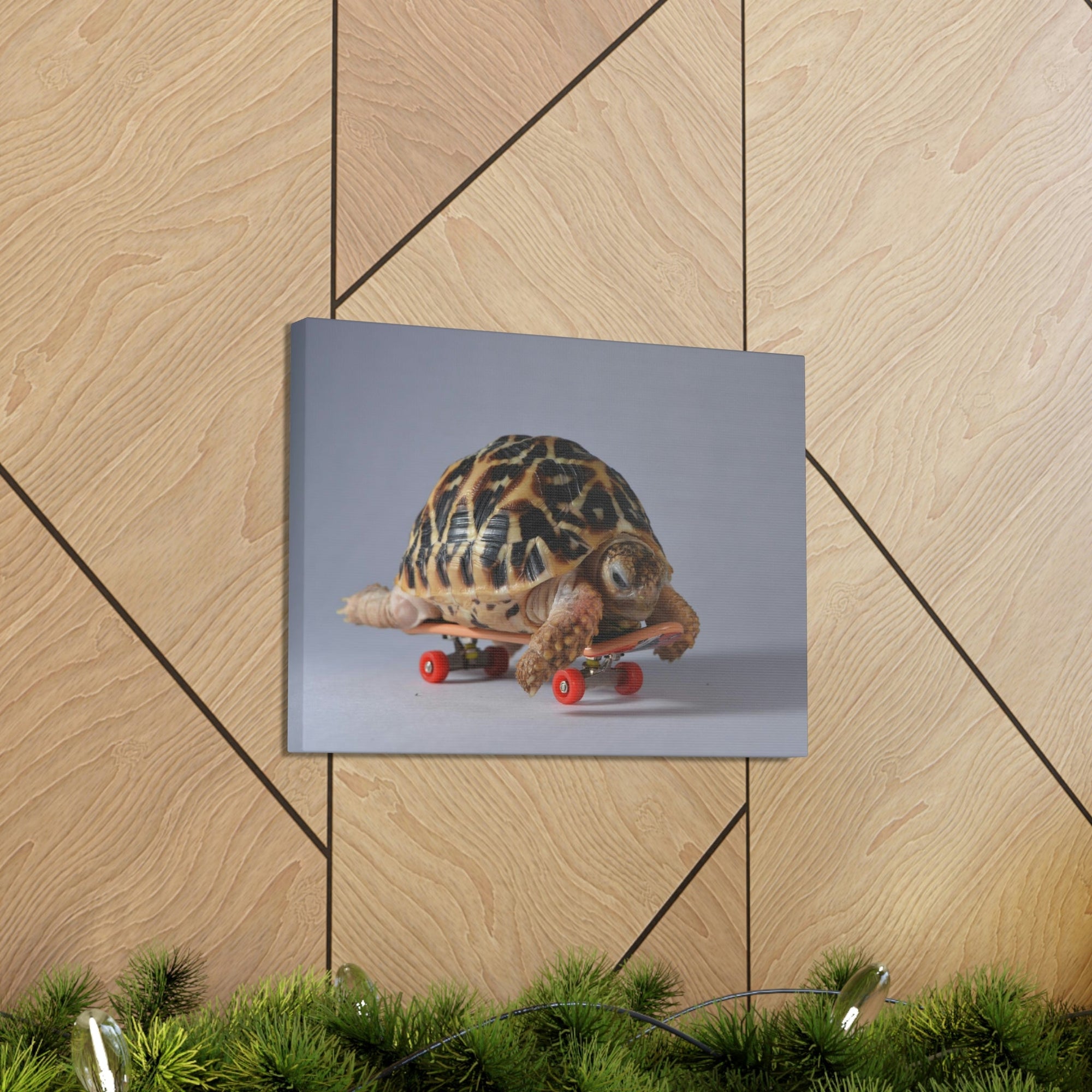 Funny Tortoise Silly Tortoise Inside Wall Art Ready to Hang Unframed-Express Your Love Gifts