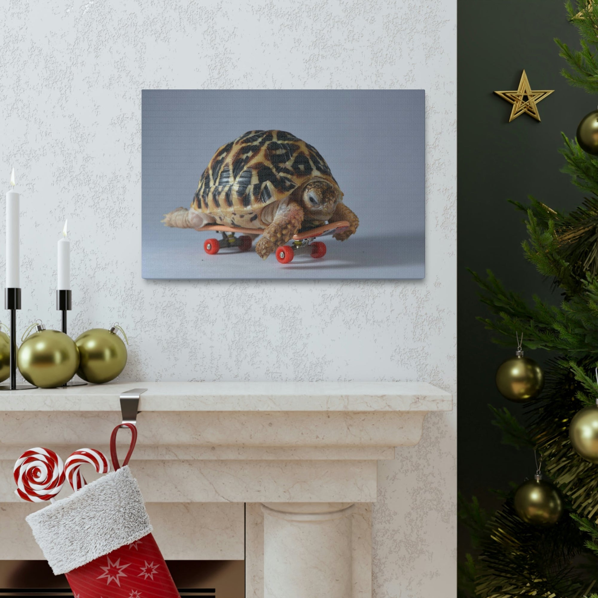 Funny Tortoise Silly Tortoise Inside Wall Art Ready to Hang Unframed-Express Your Love Gifts