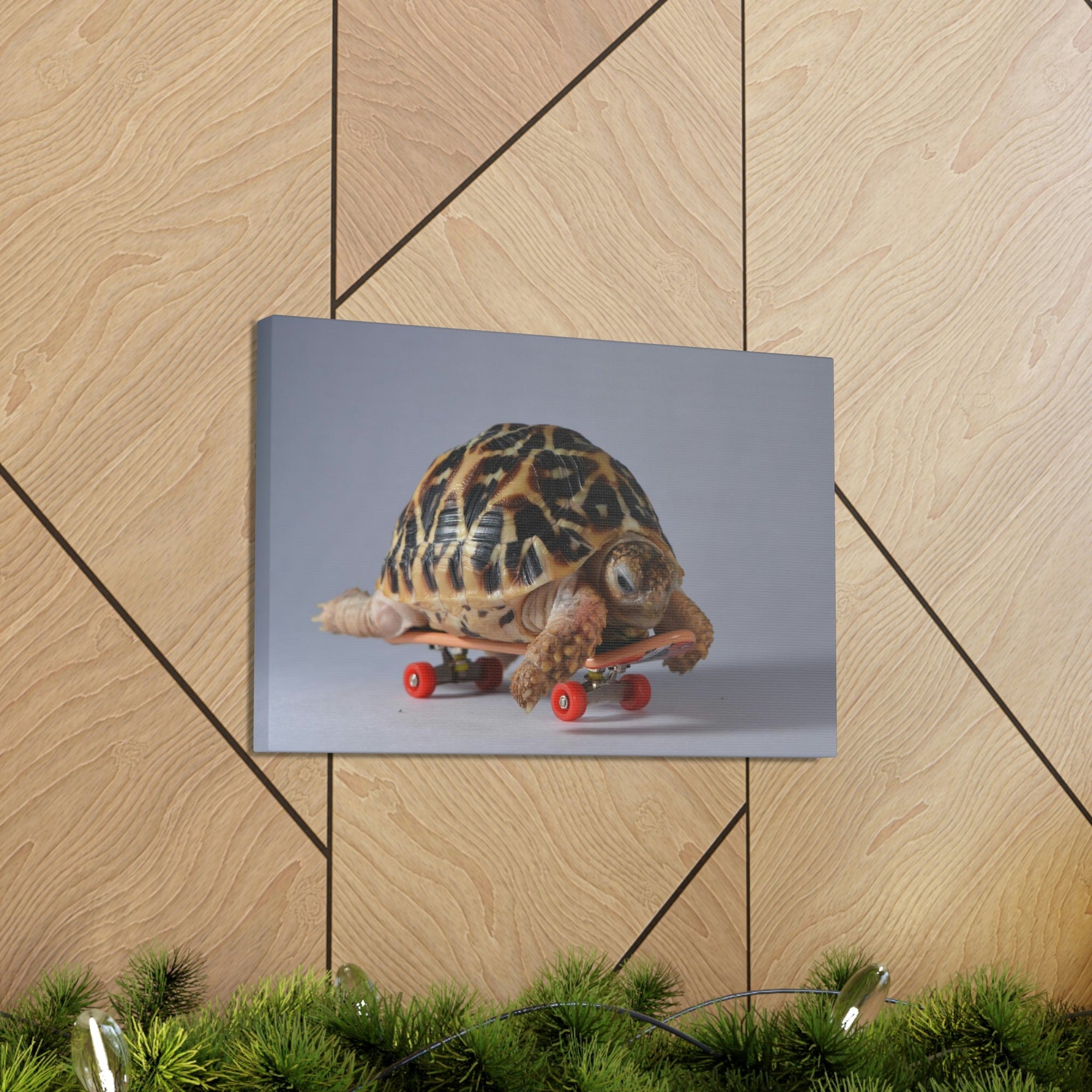 Funny Tortoise Silly Tortoise Inside Wall Art Ready to Hang Unframed-Express Your Love Gifts