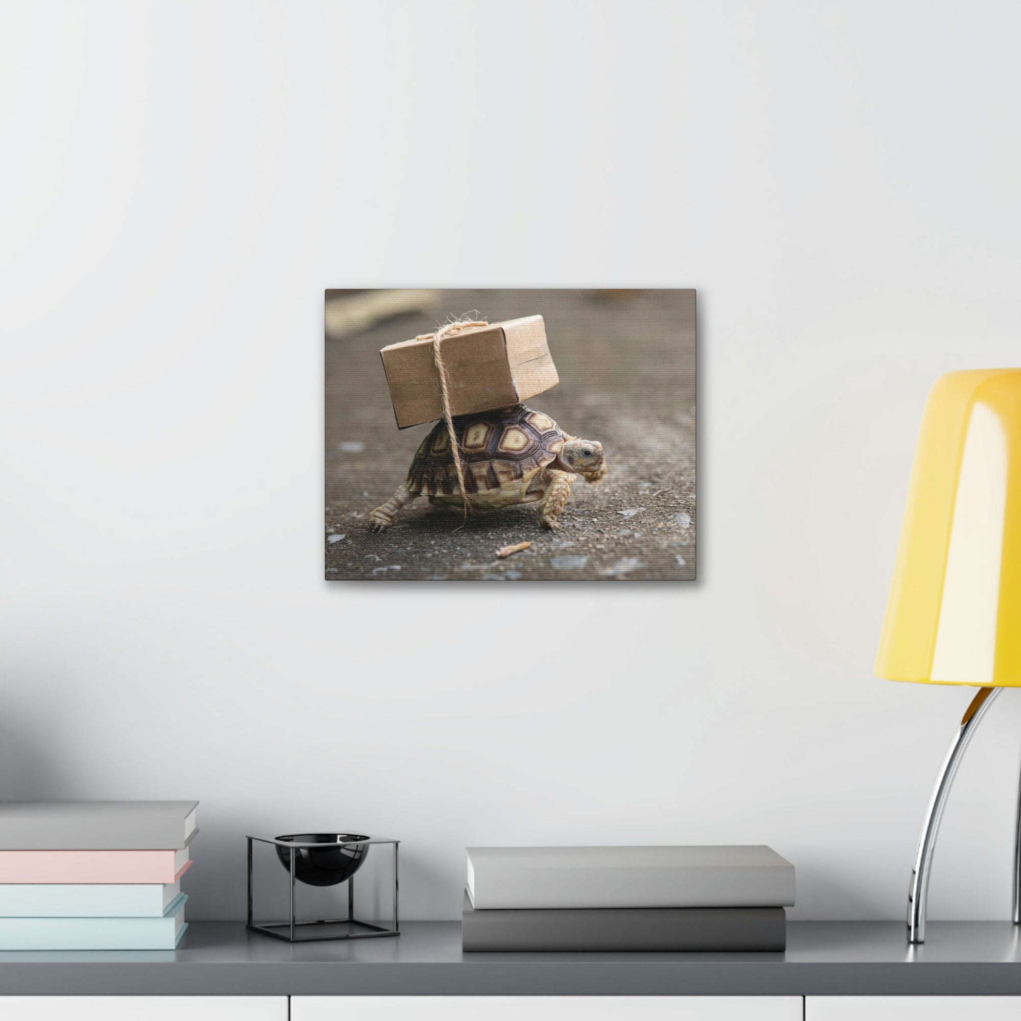 Funny Tortoise Silly Tortoise Outside Wall Art Ready to Hang Unframed-Express Your Love Gifts