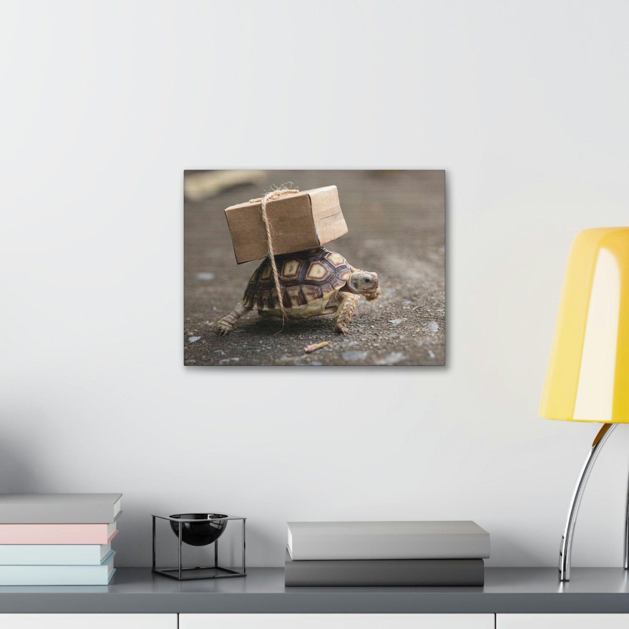 Funny Tortoise Silly Tortoise Outside Wall Art Ready to Hang Unframed-Express Your Love Gifts