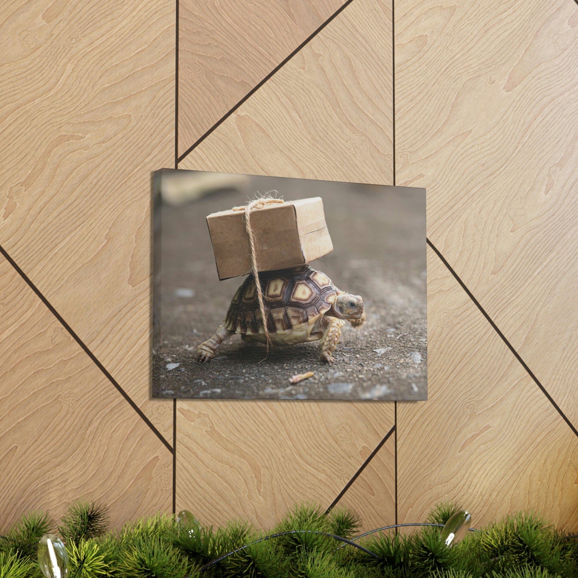 Funny Tortoise Silly Tortoise Outside Wall Art Ready to Hang Unframed-Express Your Love Gifts