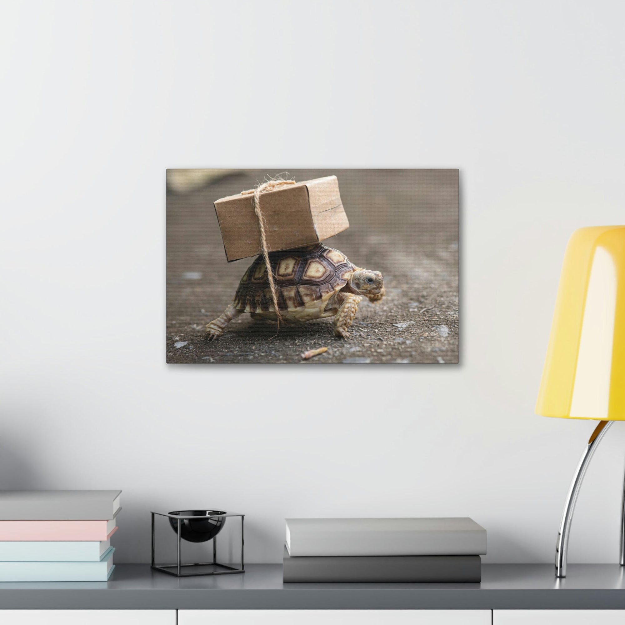 Funny Tortoise Silly Tortoise Outside Wall Art Ready to Hang Unframed-Express Your Love Gifts