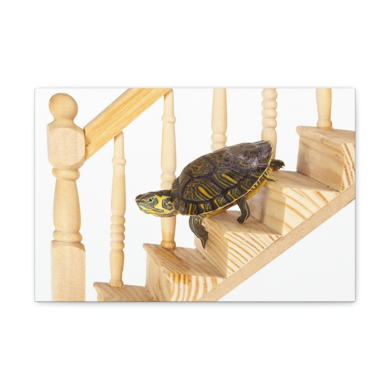 Funny Turtle Silly Turtle Inside Wall Art Ready to Hang Unframed-Express Your Love Gifts