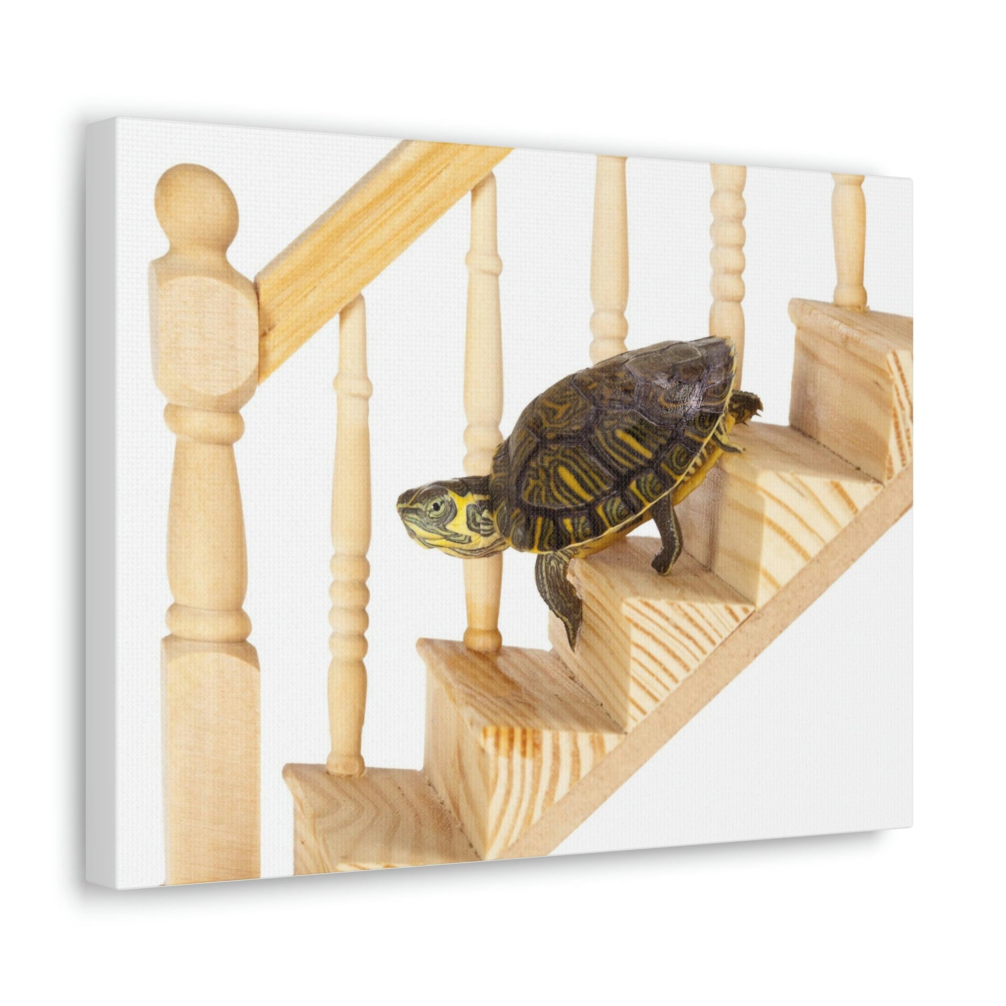 Funny Turtle Silly Turtle Inside Wall Art Ready to Hang Unframed-Express Your Love Gifts