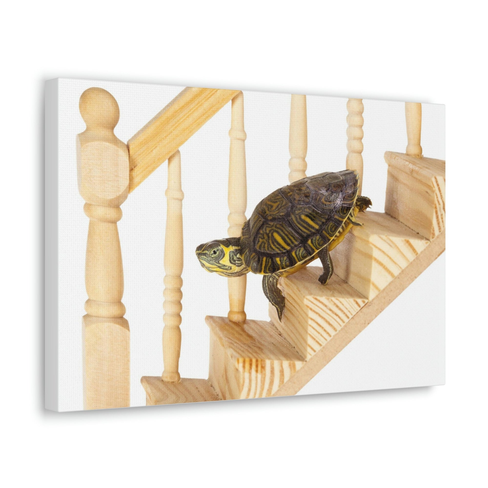 Funny Turtle Silly Turtle Inside Wall Art Ready to Hang Unframed-Express Your Love Gifts