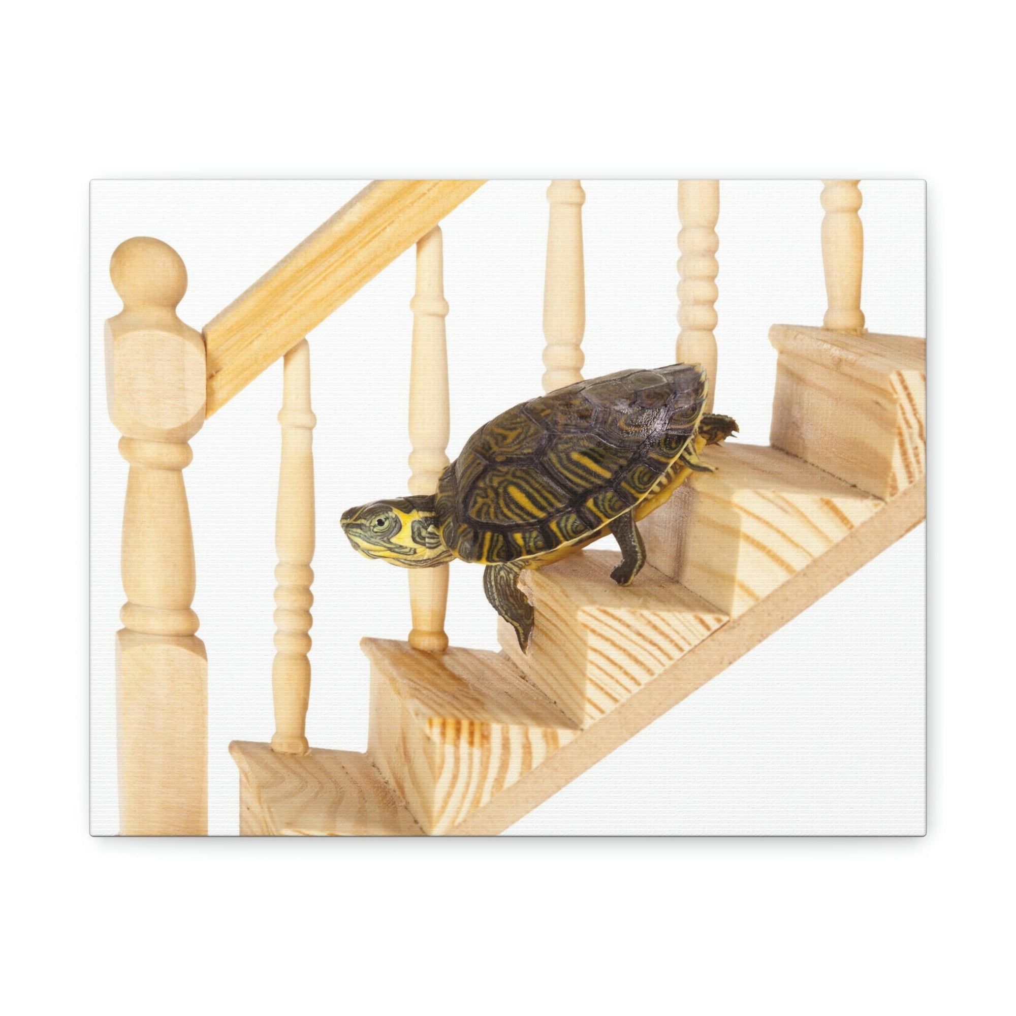 Funny Turtle Silly Turtle Inside Wall Art Ready to Hang Unframed-Express Your Love Gifts