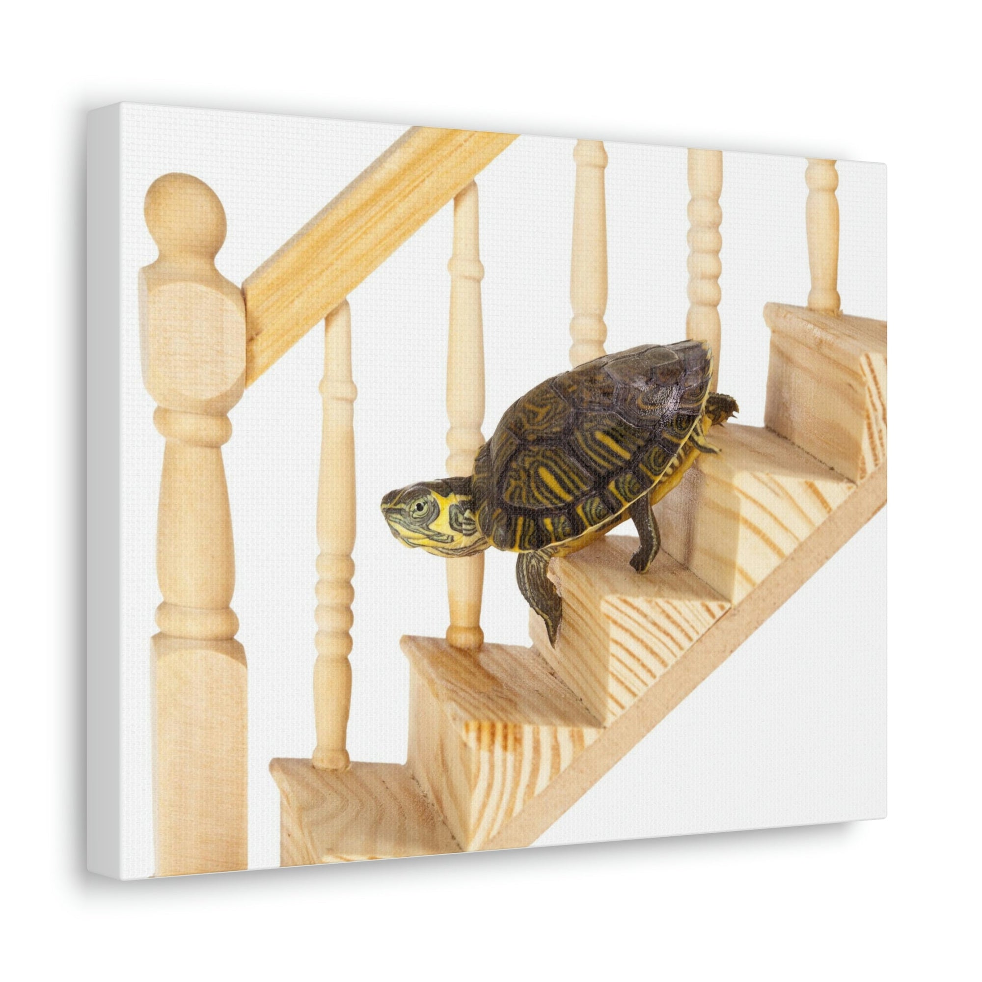 Funny Turtle Silly Turtle Inside Wall Art Ready to Hang Unframed-Express Your Love Gifts