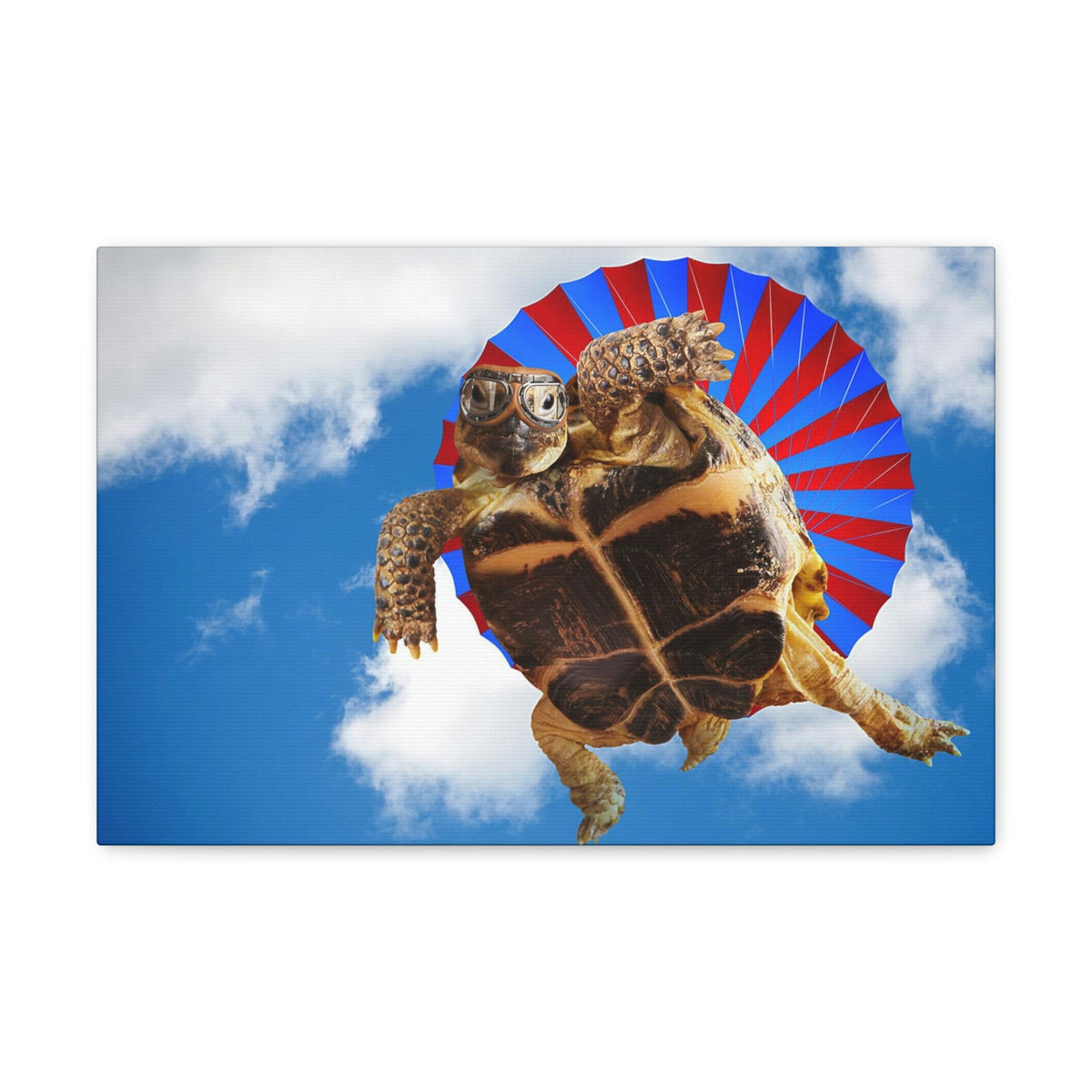 Funny Turtle Silly Turtle Outside Wall Art Ready to Hang Unframed-Express Your Love Gifts