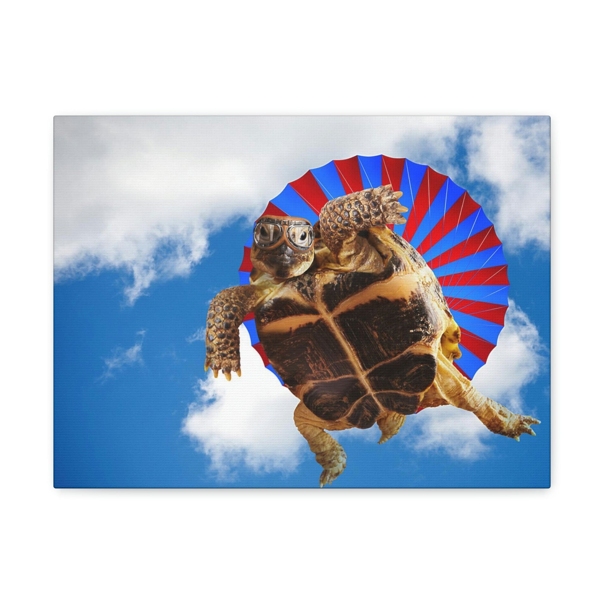 Funny Turtle Silly Turtle Outside Wall Art Ready to Hang Unframed-Express Your Love Gifts