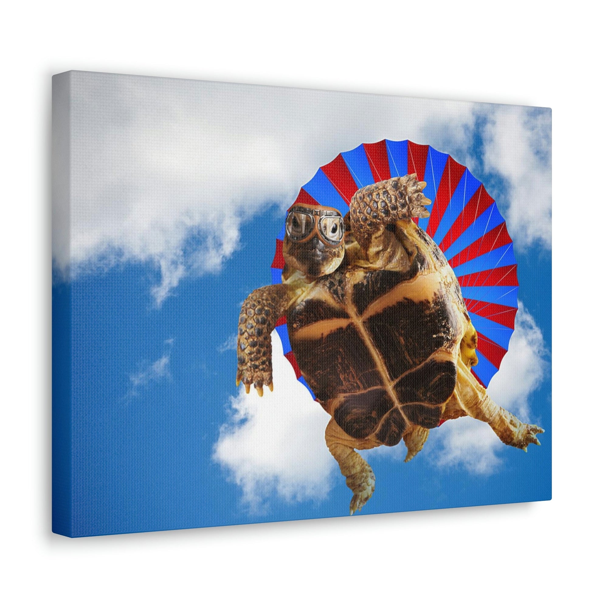 Funny Turtle Silly Turtle Outside Wall Art Ready to Hang Unframed-Express Your Love Gifts