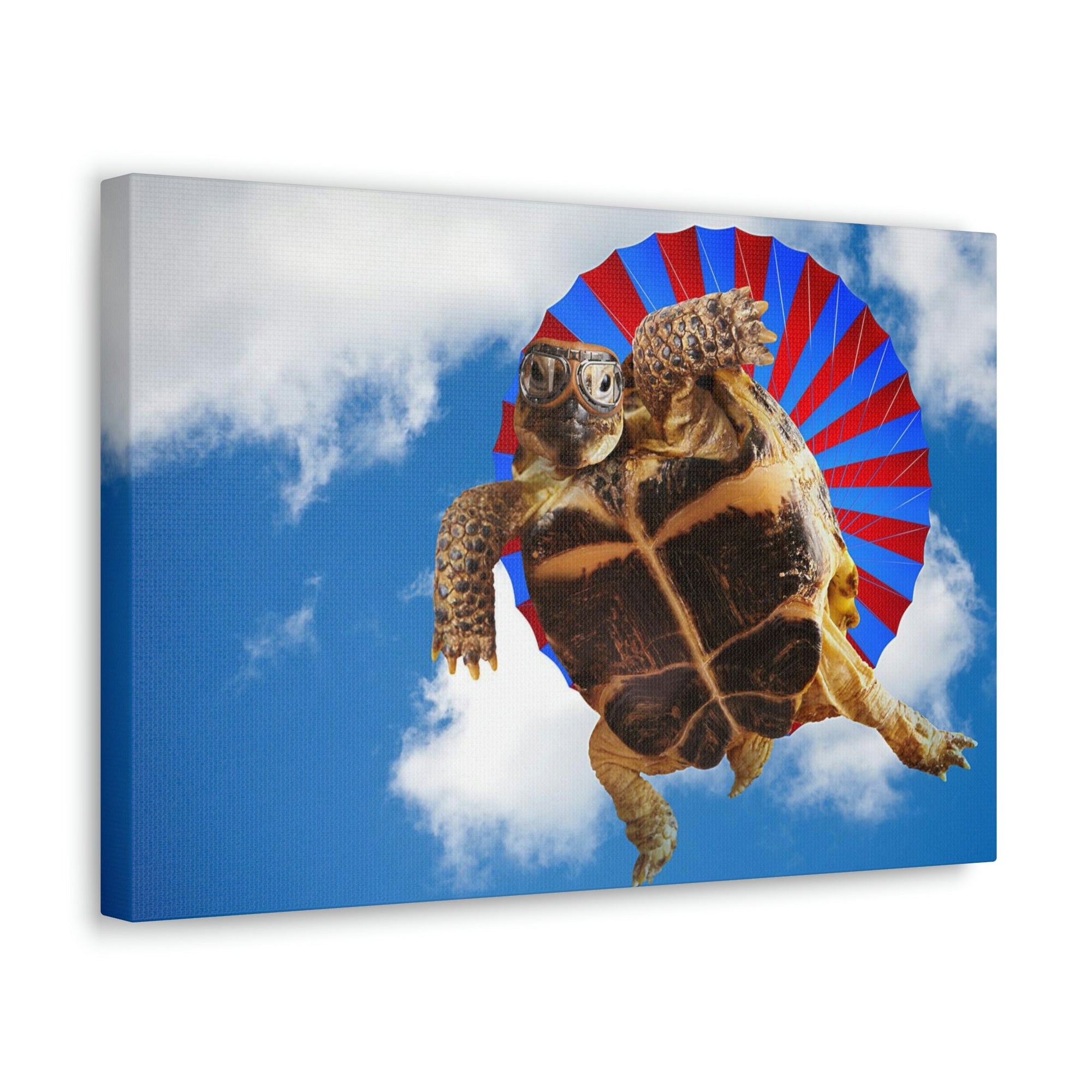 Funny Turtle Silly Turtle Outside Wall Art Ready to Hang Unframed-Express Your Love Gifts