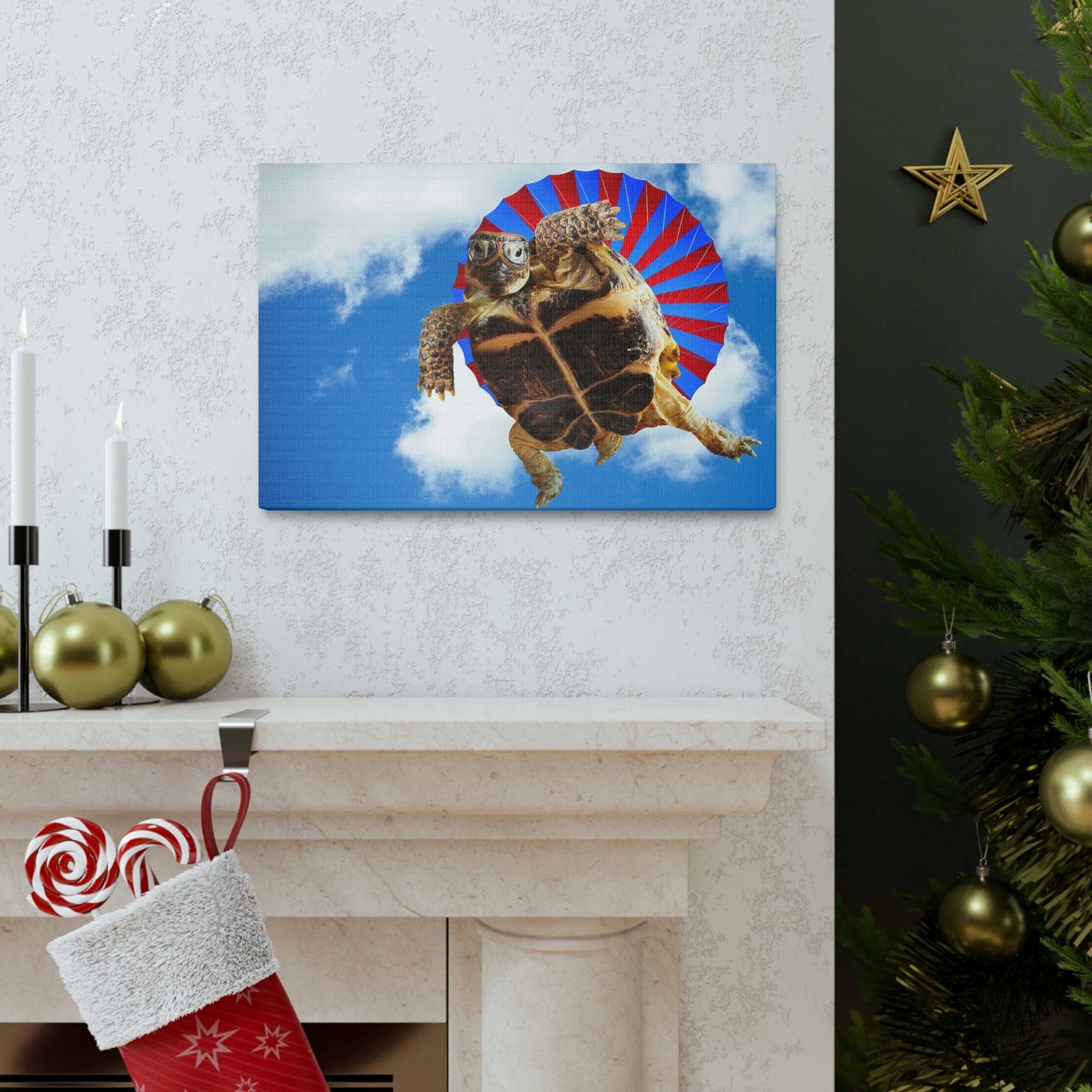 Funny Turtle Silly Turtle Outside Wall Art Ready to Hang Unframed-Express Your Love Gifts