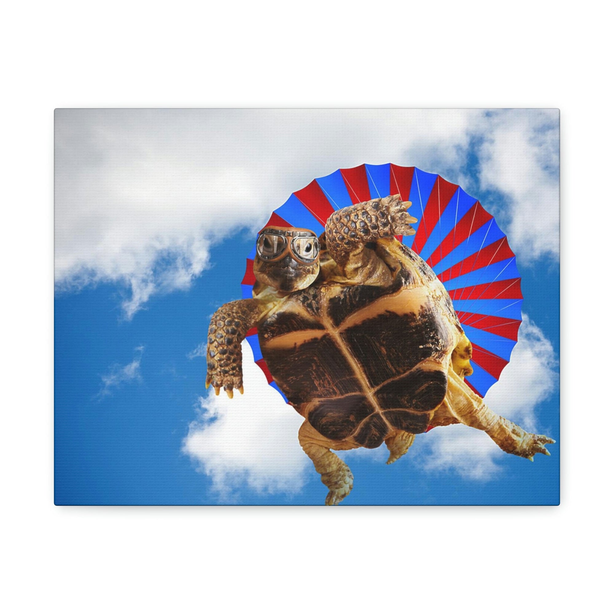 Funny Turtle Silly Turtle Outside Wall Art Ready to Hang Unframed-Express Your Love Gifts