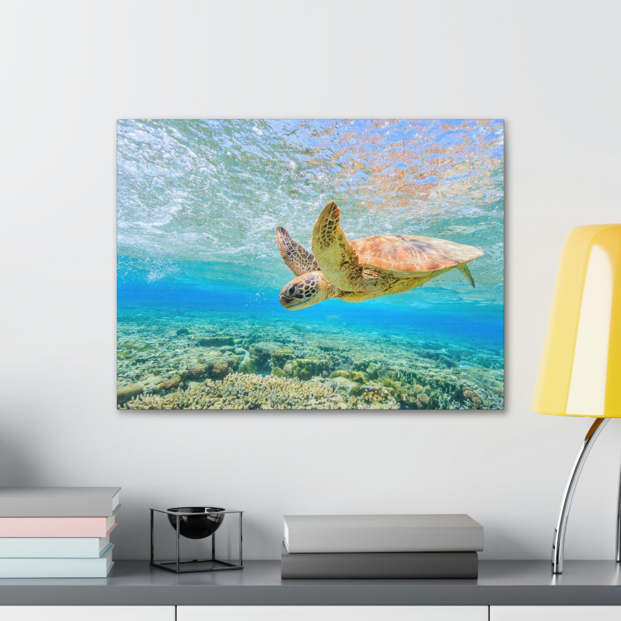 Funny Turtle Silly Turtle Scene Outside Wall Art Ready to Hang Unframed-Express Your Love Gifts