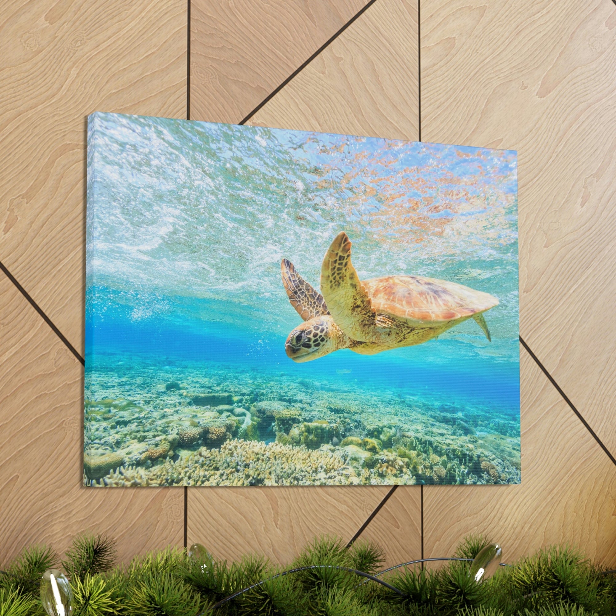 Funny Turtle Silly Turtle Scene Outside Wall Art Ready to Hang Unframed-Express Your Love Gifts