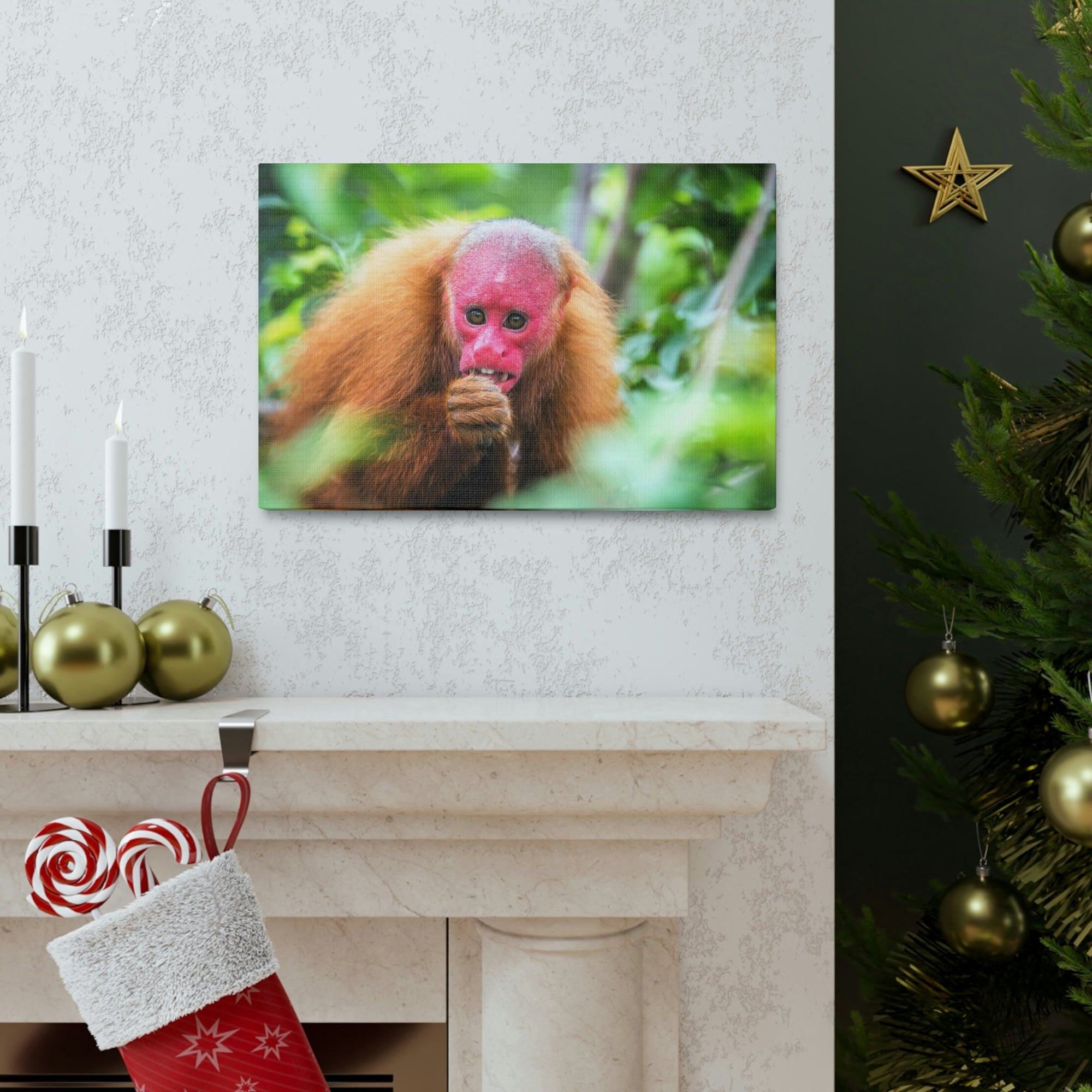 Funny Uakari Silly Uakari Scene Outside Wall Art Ready to Hang Unframed-Express Your Love Gifts