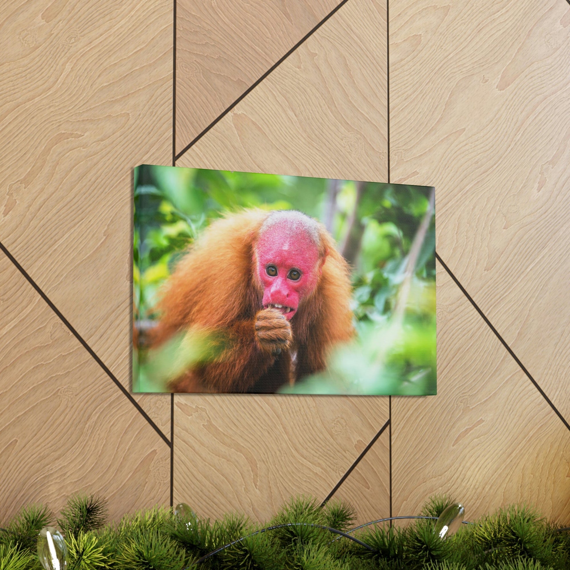 Funny Uakari Silly Uakari Scene Outside Wall Art Ready to Hang Unframed-Express Your Love Gifts