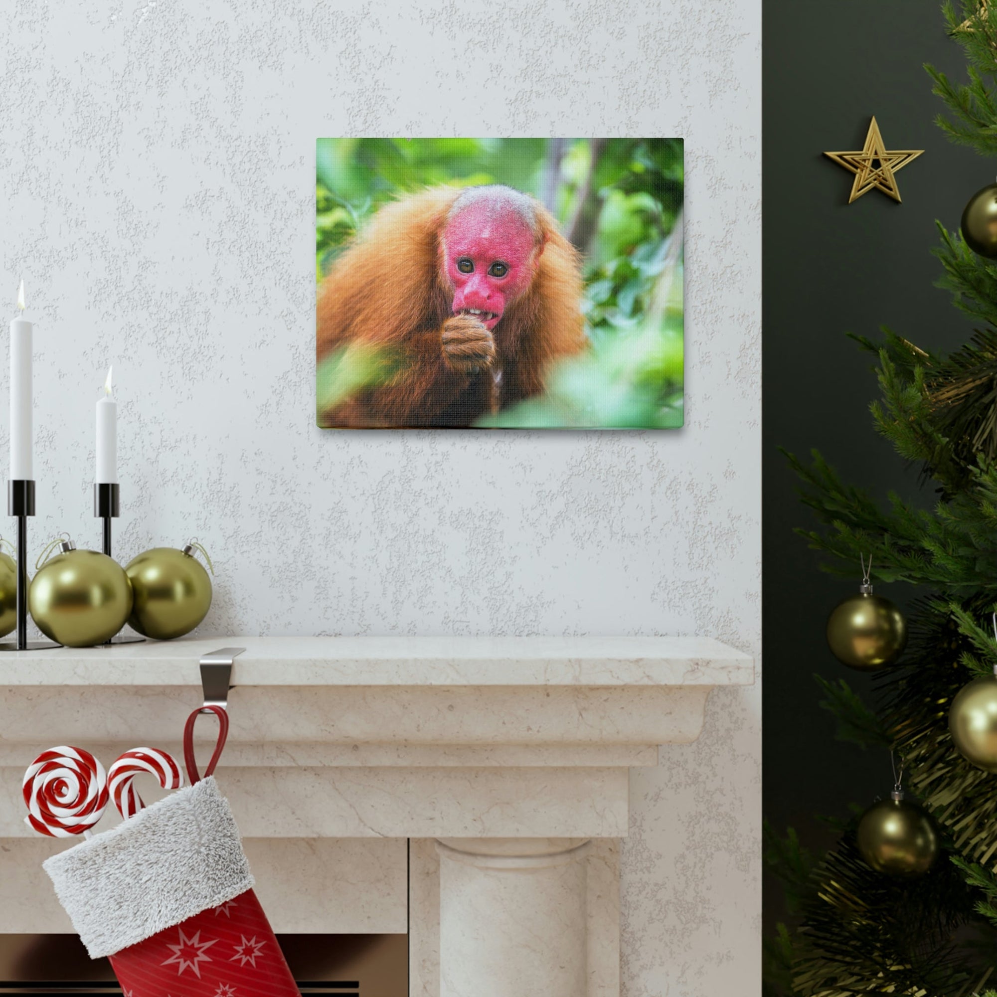 Funny Uakari Silly Uakari Scene Outside Wall Art Ready to Hang Unframed-Express Your Love Gifts