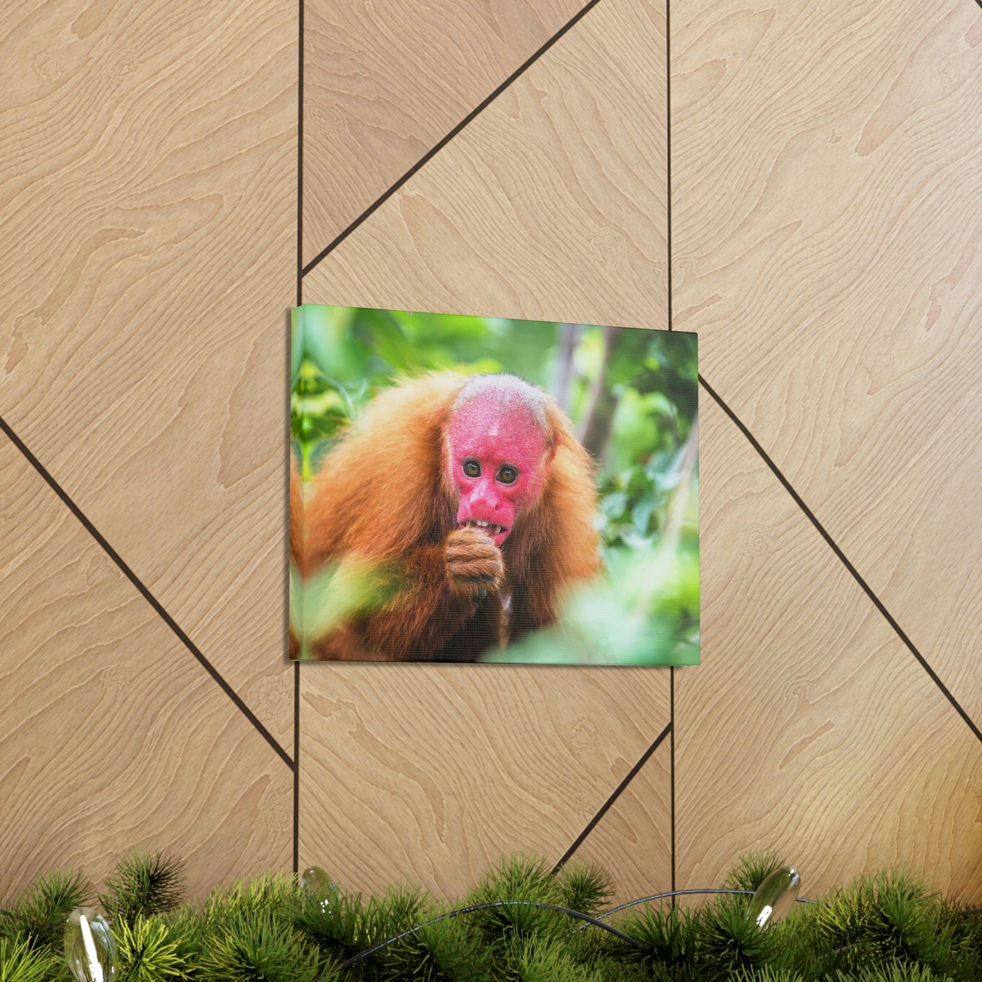 Funny Uakari Silly Uakari Scene Outside Wall Art Ready to Hang Unframed-Express Your Love Gifts