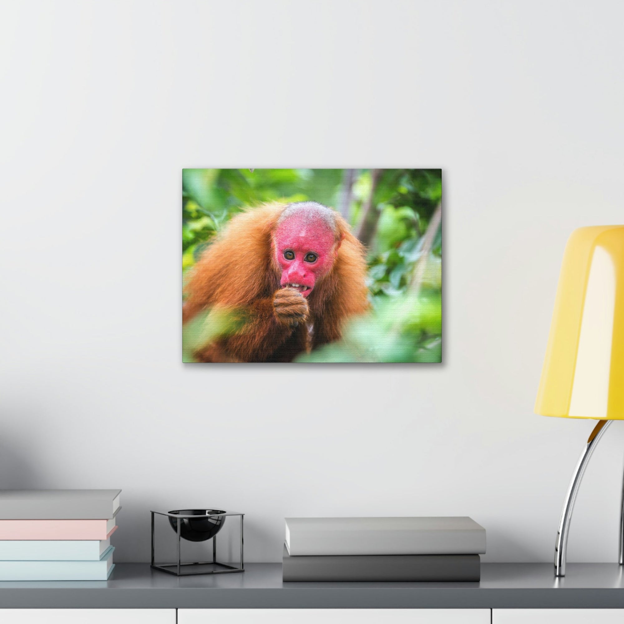 Funny Uakari Silly Uakari Scene Outside Wall Art Ready to Hang Unframed-Express Your Love Gifts