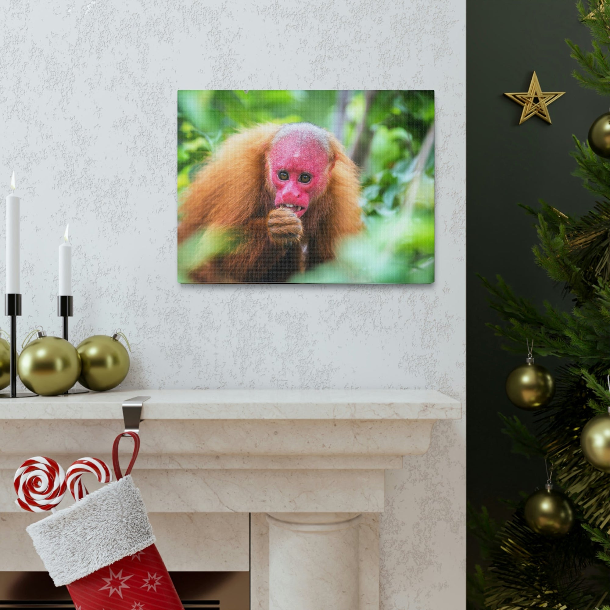 Funny Uakari Silly Uakari Scene Outside Wall Art Ready to Hang Unframed-Express Your Love Gifts